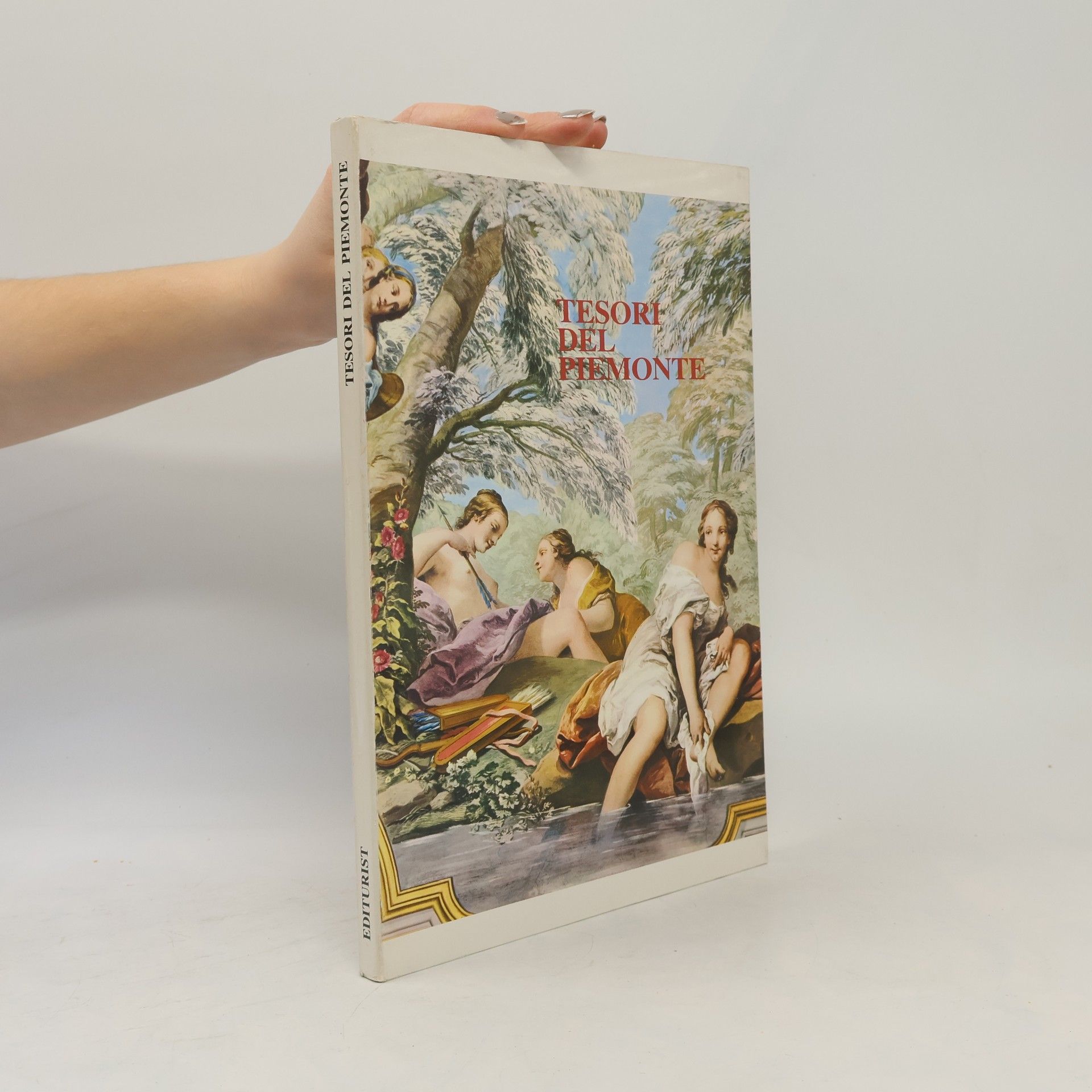 Autorenkollektiv Tesori del Peimonte