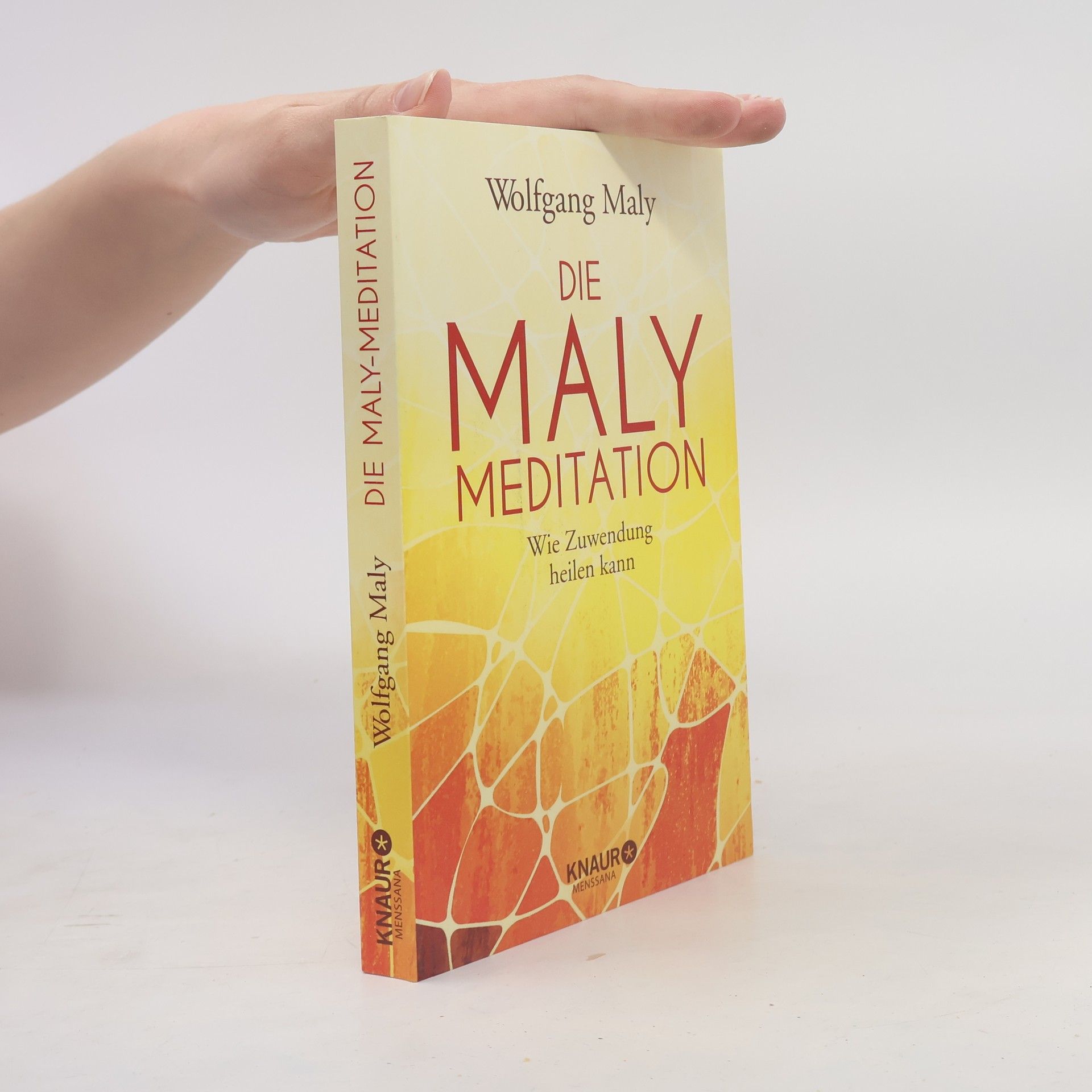 Collectif d'auteurs Die Maly-Meditation