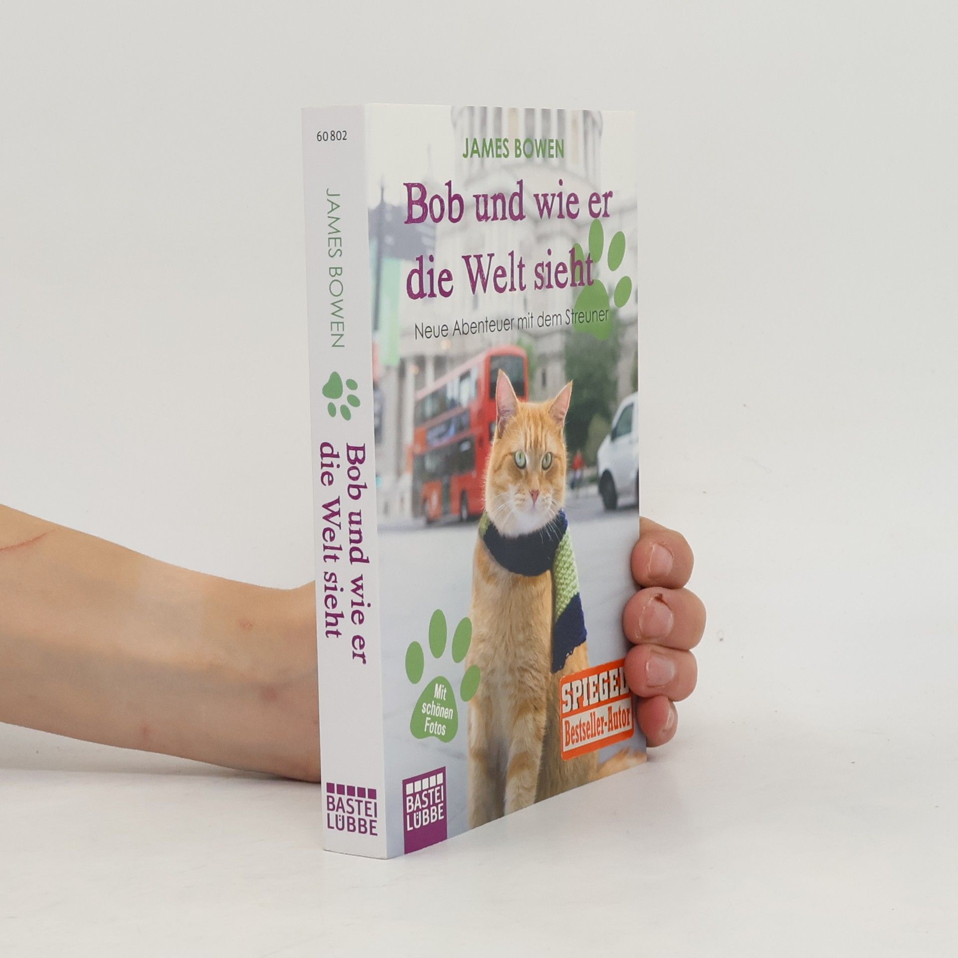 Bob und wie er die Welt sieht