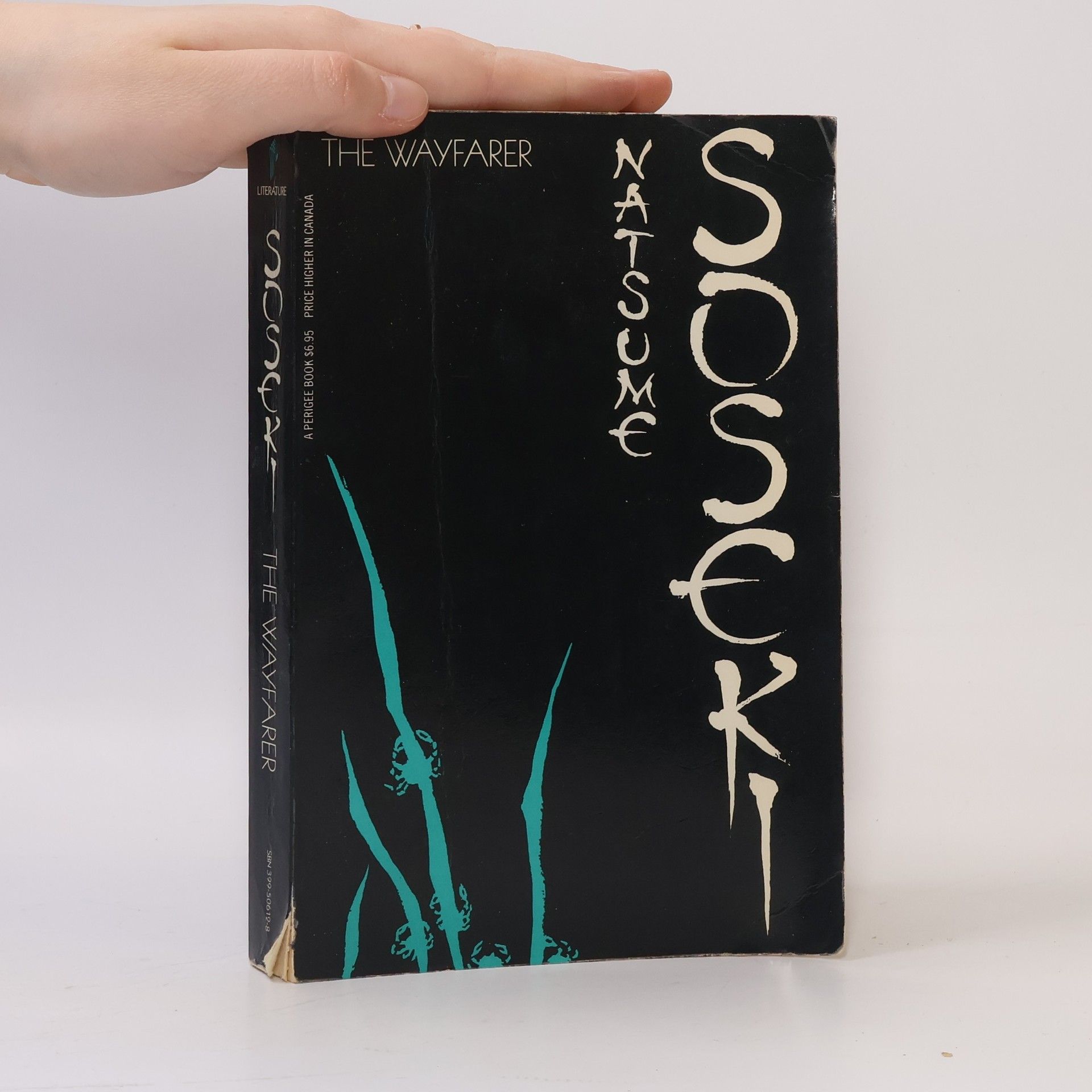 Natsume Sōseki The Wayfarer