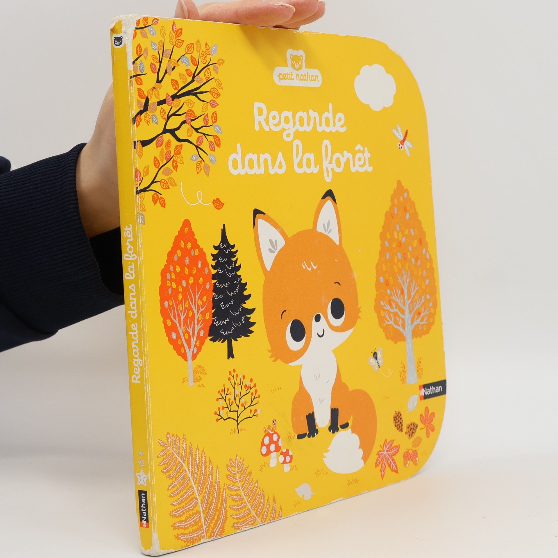 Regarde dans la forêt