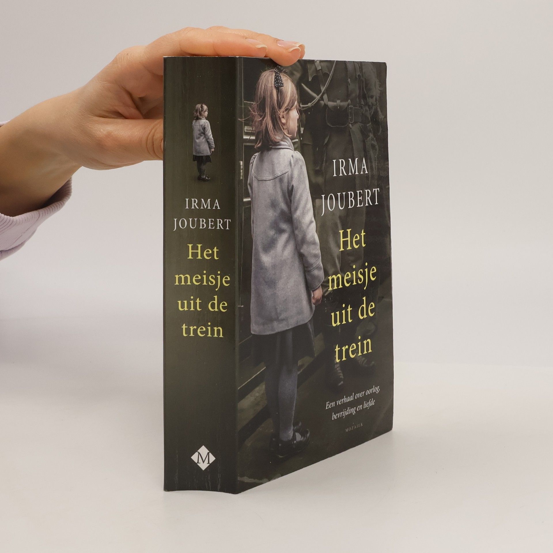 Neethling trilogie - 2: Het meisje uit de trein