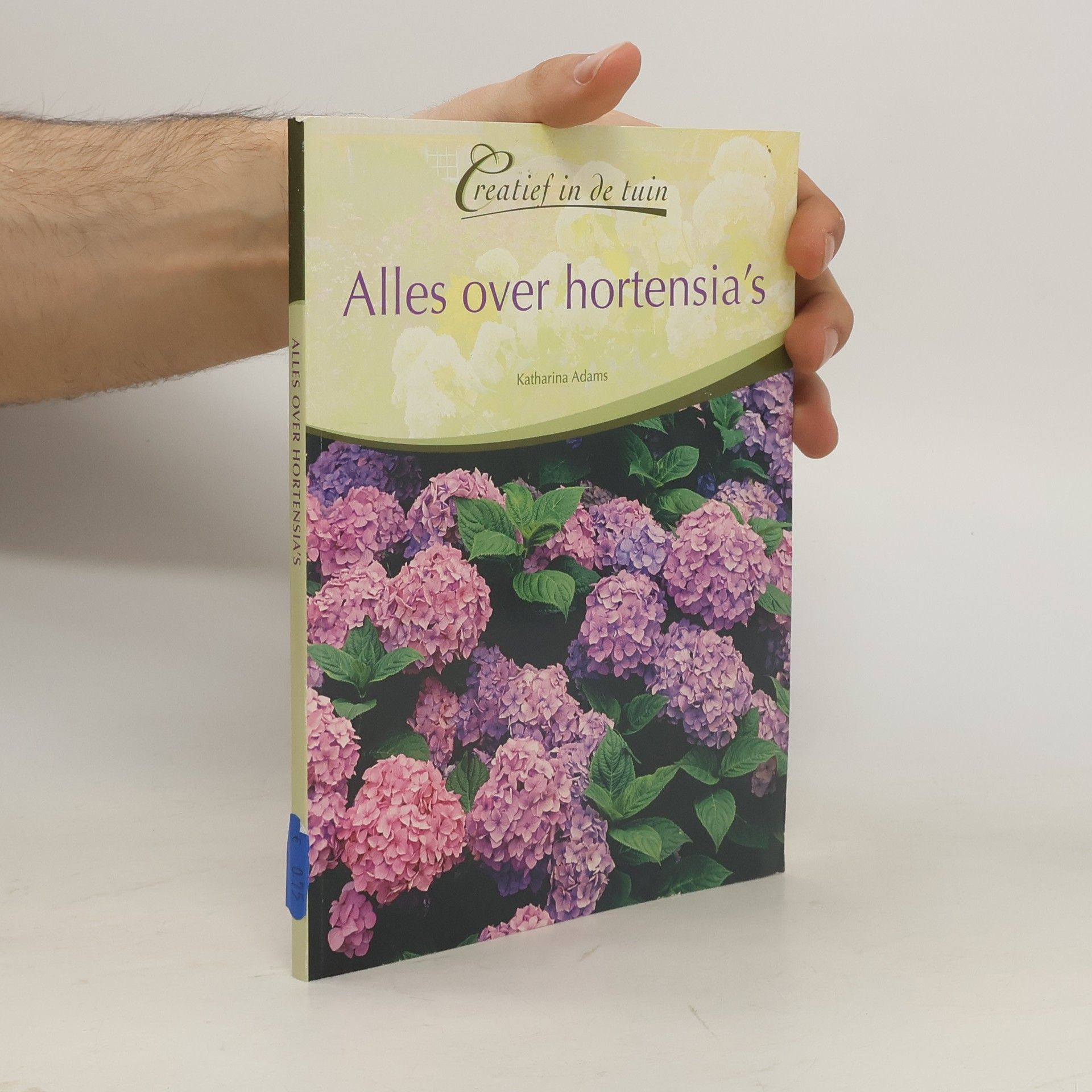 Alles over hortensia's