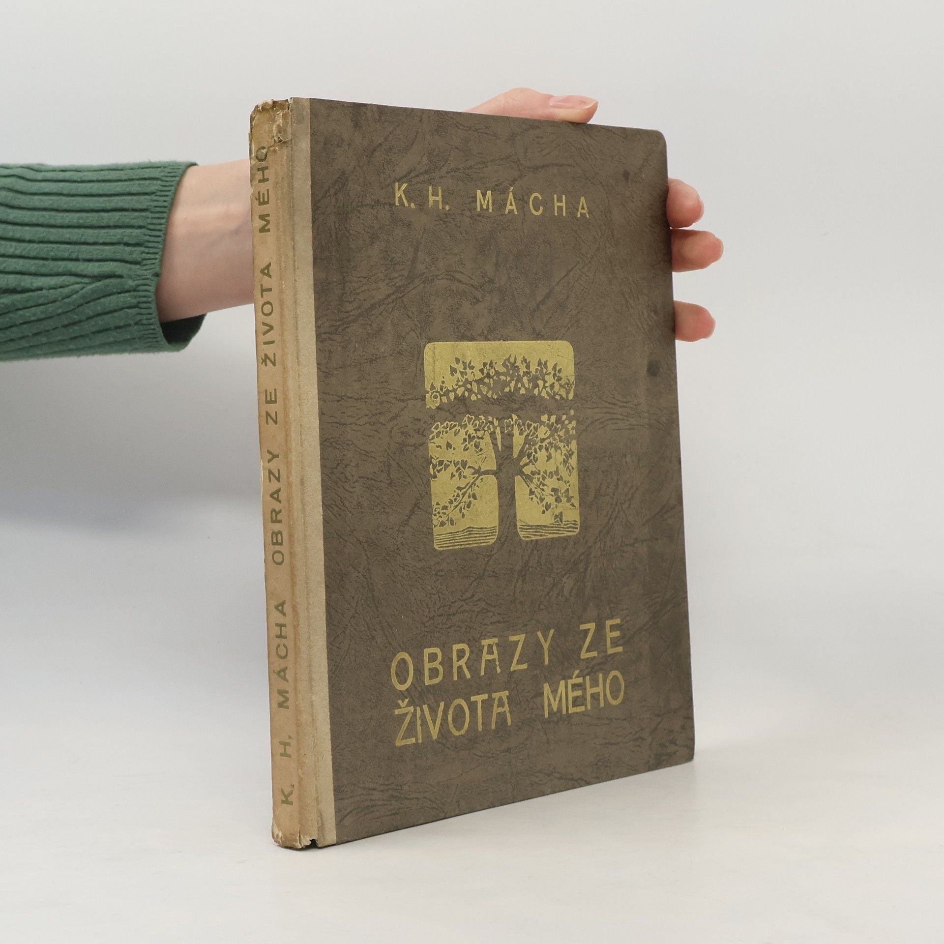 Karel Hynek Mácha Obrazy ze života mého