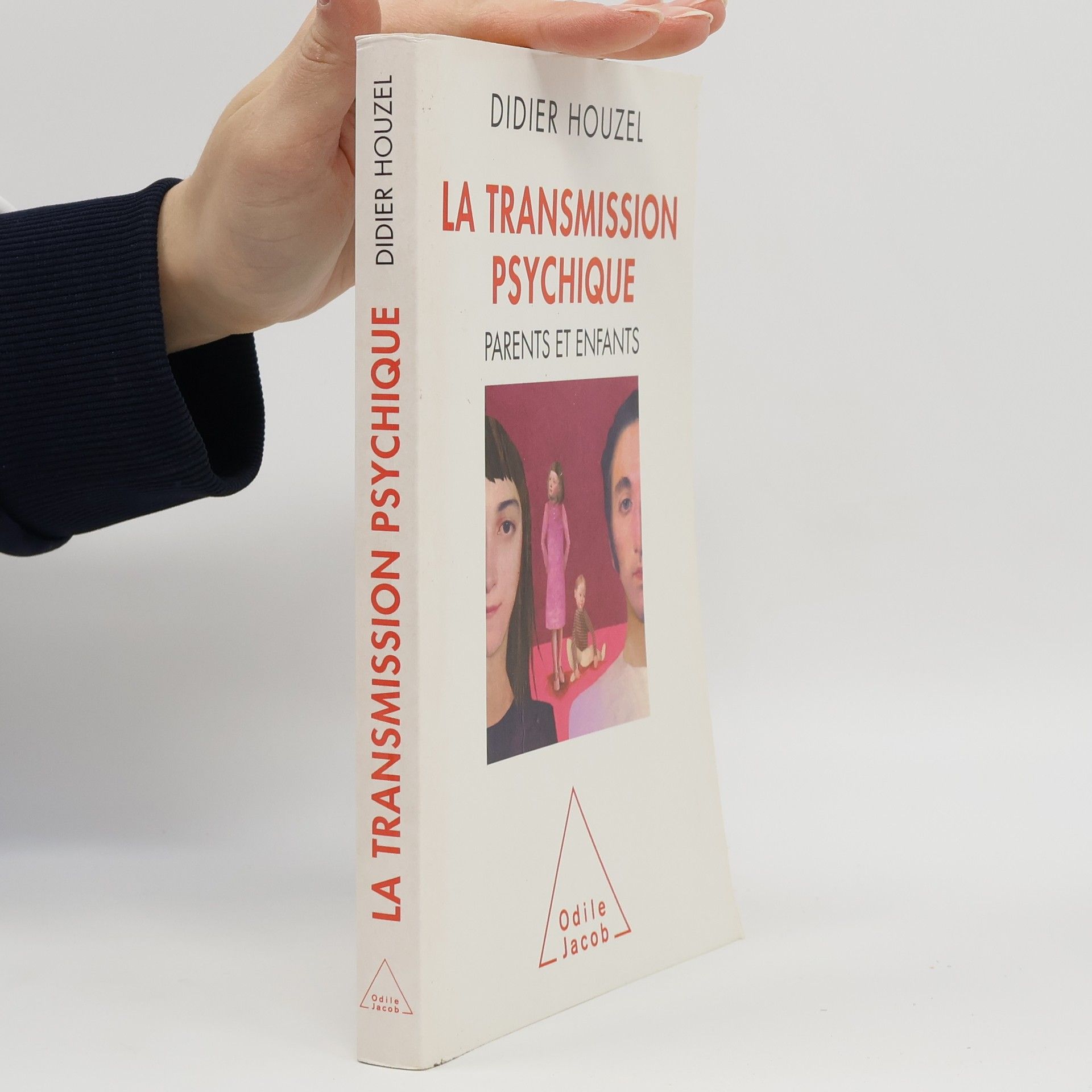 Didier Houzel La transmission psychique