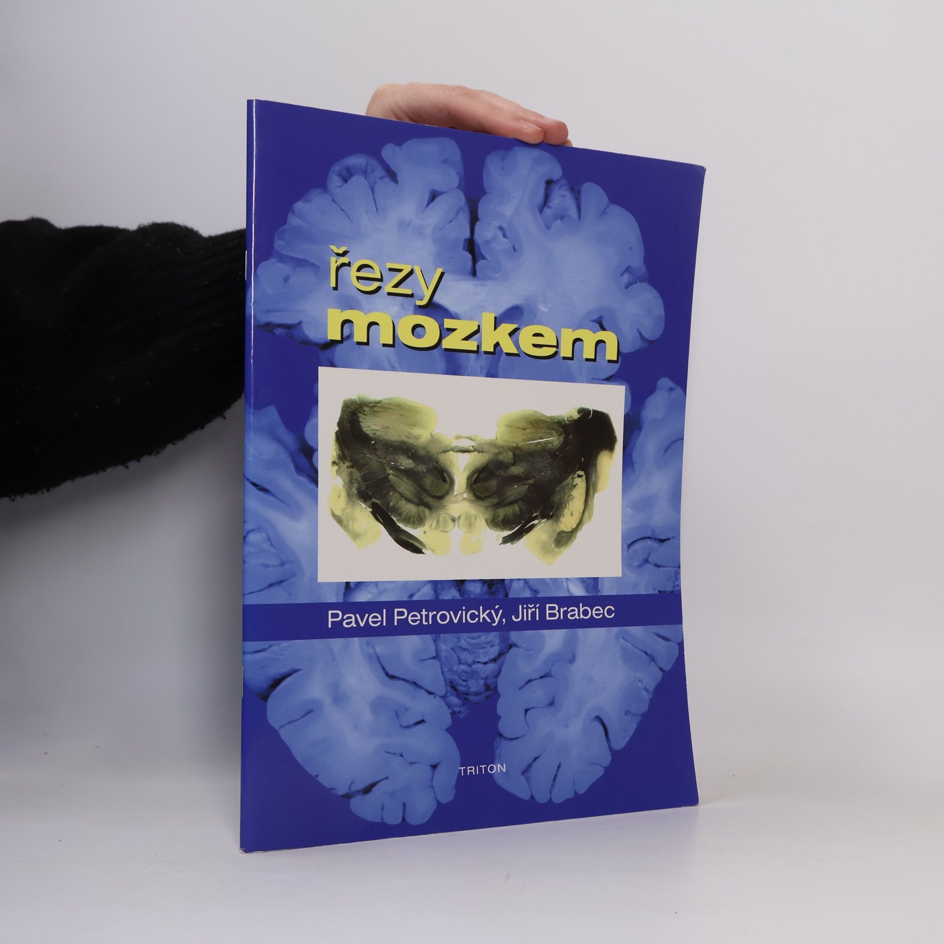 Jiří Brabec Řezy mozkem