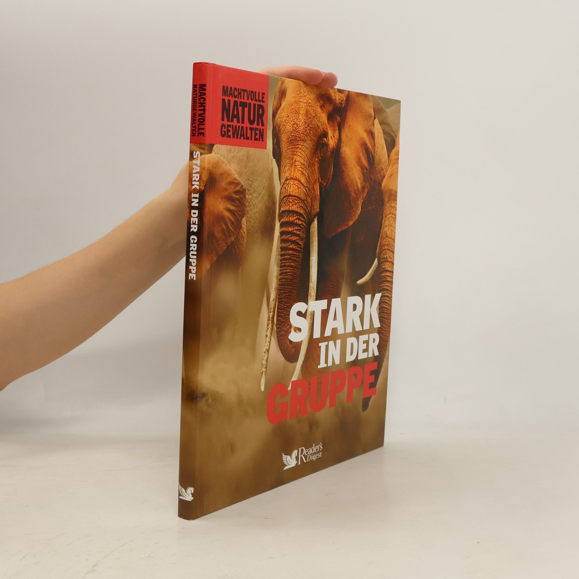 Falko Spiller Stark in der Gruppe