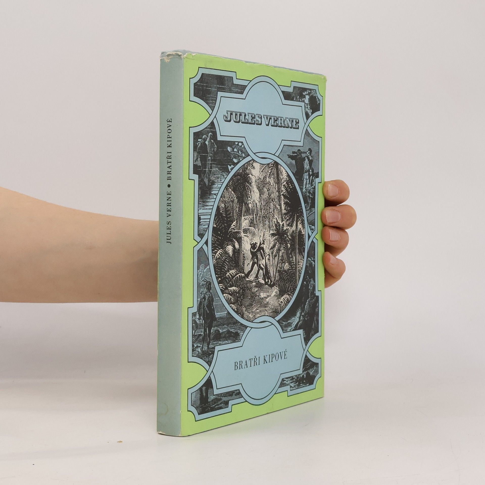 Jules Verne Bratři Kipové