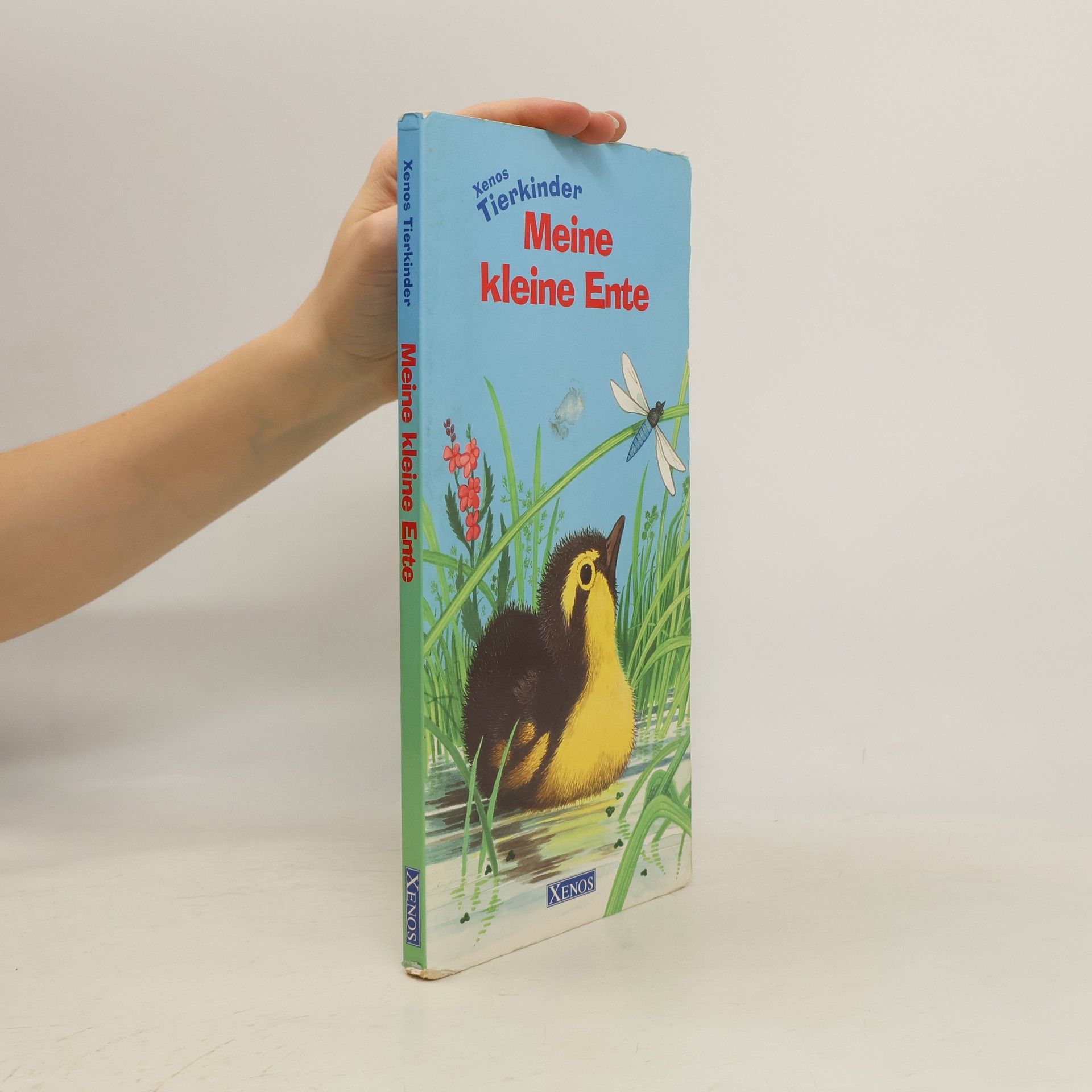 Katrin Siepmann Meine kleine Ente