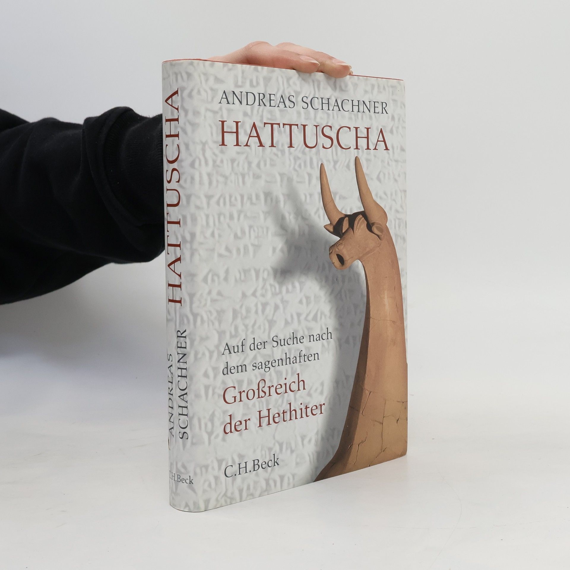 Andreas Schachner Hattuscha
