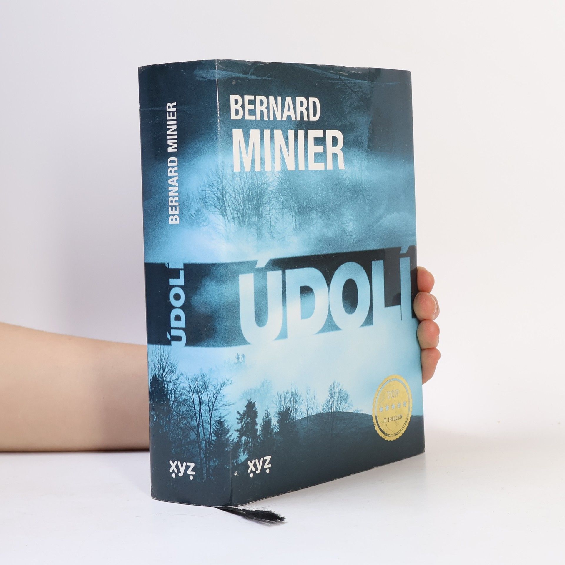 Bernard Minier Údolí