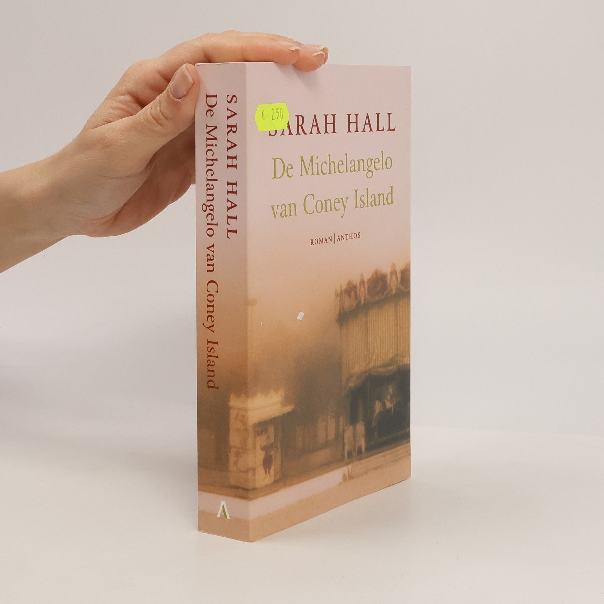 De Michelangelo van Coney Island