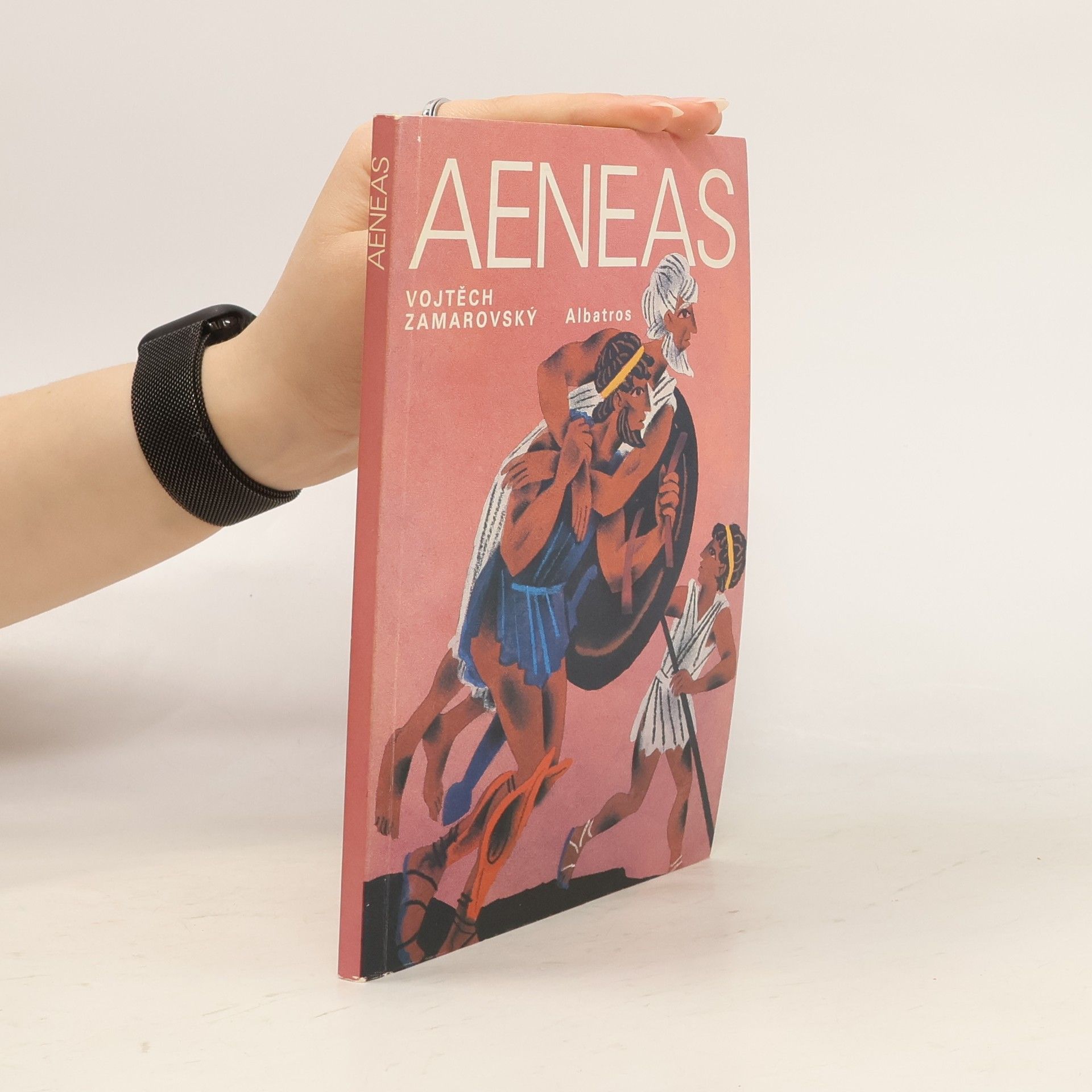 Publius Vergilius Maro Aeneas: Aeneovy osudy a činy podle Vergiliova eposu Aeneidy: Pro čtenáře od 12 let