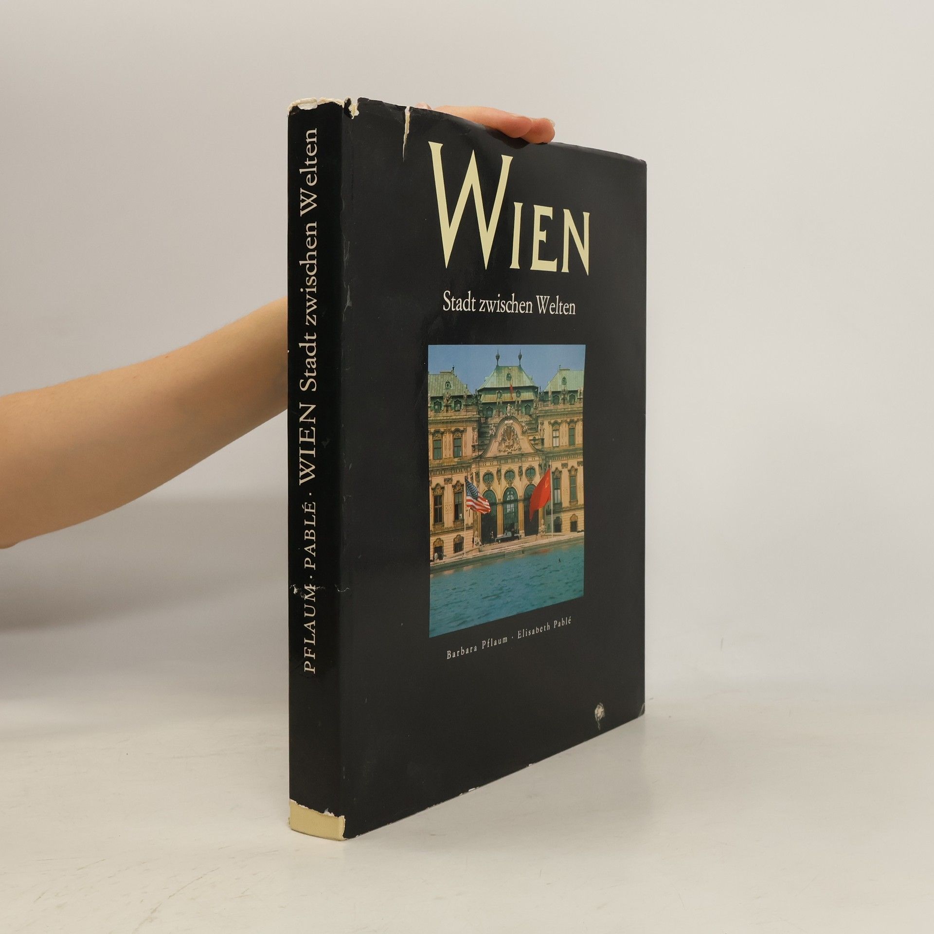 Wien. Stadt zwischen Welten