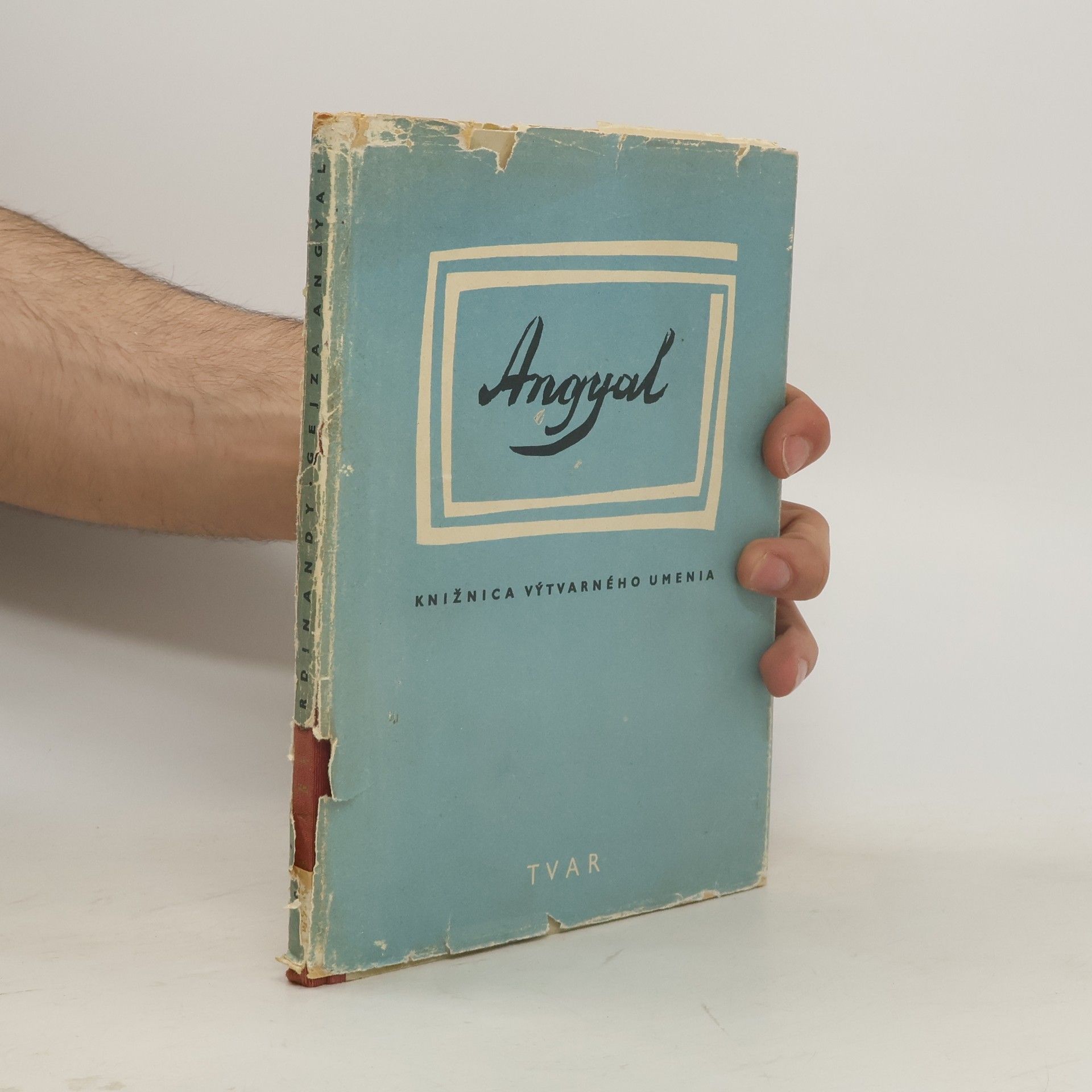 Alina Ferdinandy Angyal