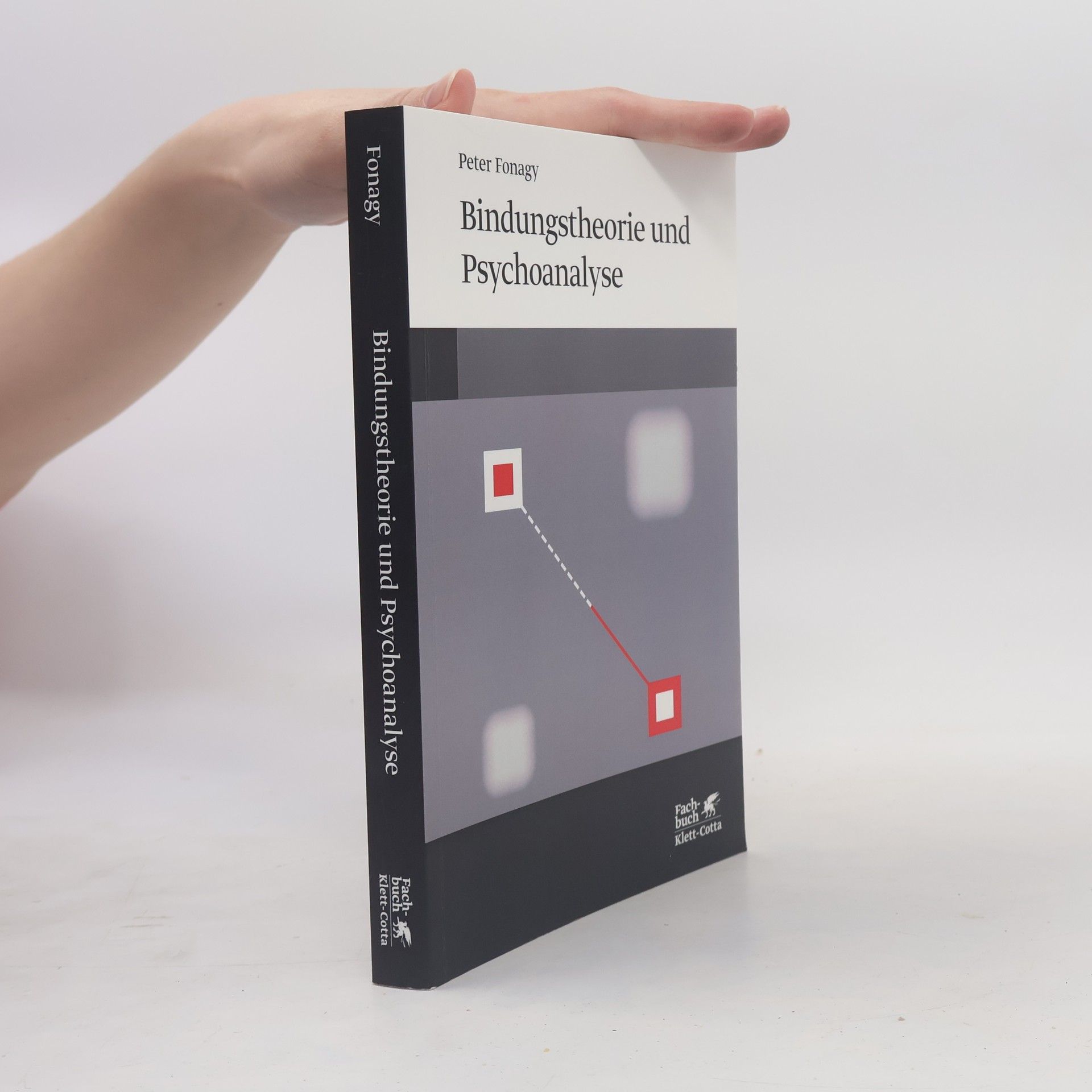 Peter Fonagy Bindungstheorie und Psychoanalyse