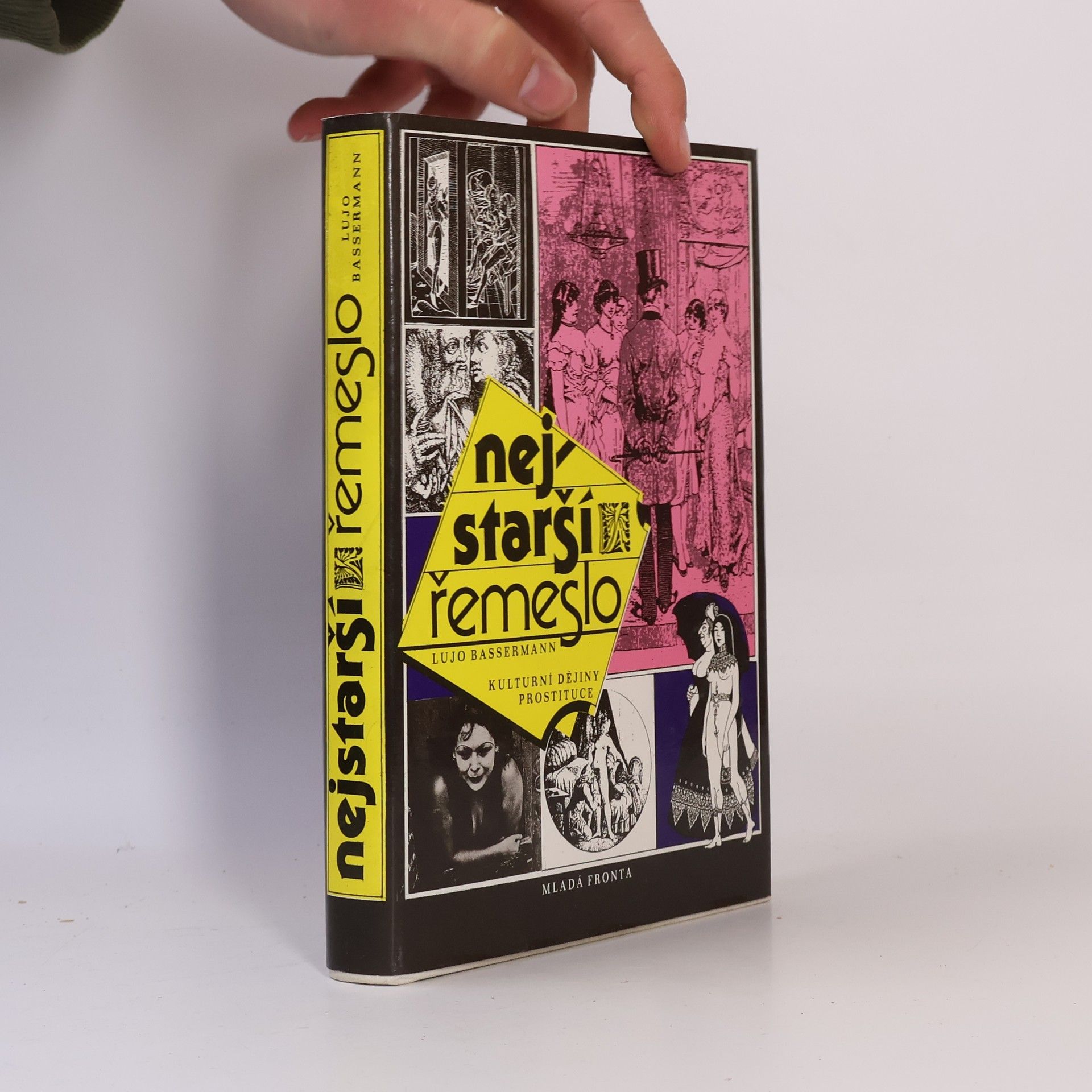 Nejstarší řemeslo : kulturní dějiny prostituce