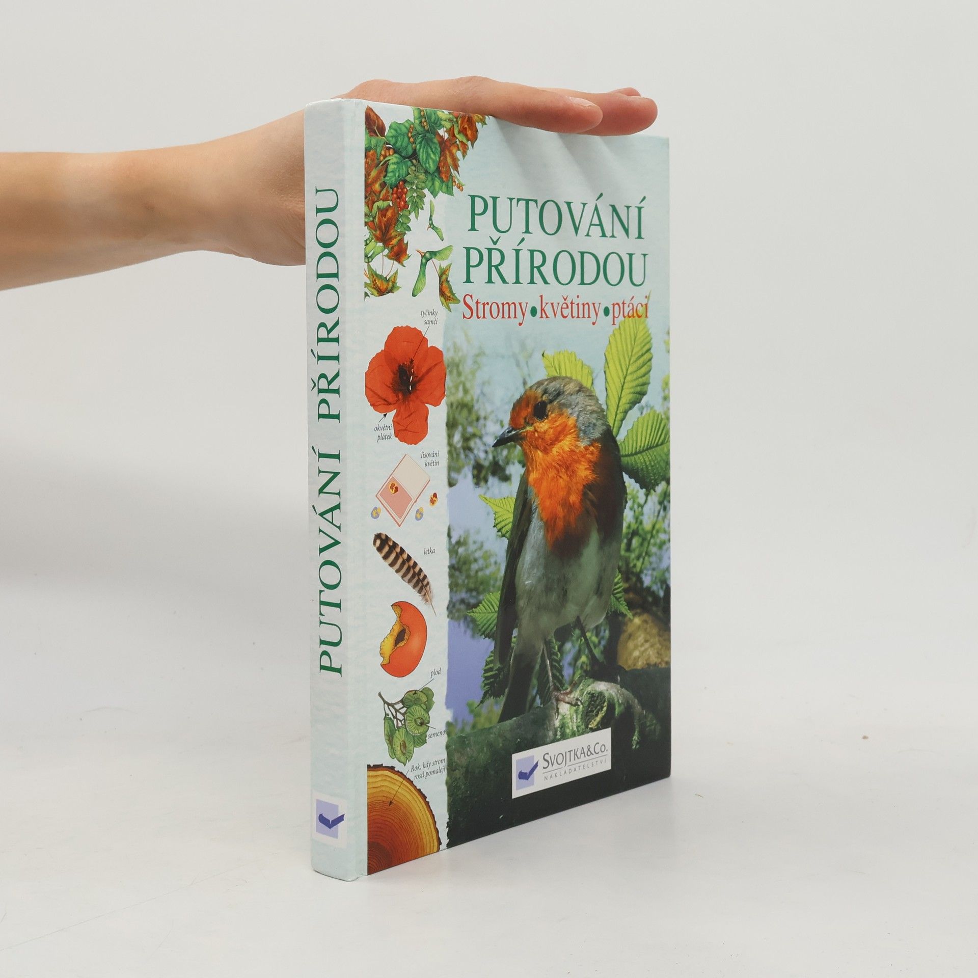 Kolektiv autorů Putování přírodou: Stromy, květiny, ptáci