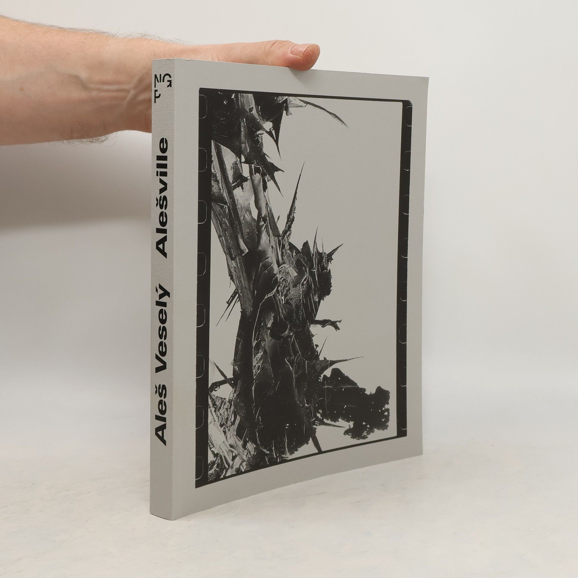 Monika Čejková Aleš Veselý - Alešville