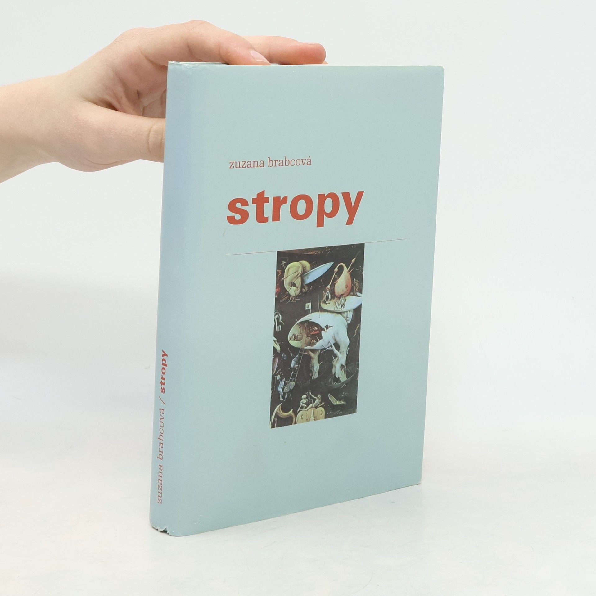 Zuzana Brabcova Stropy