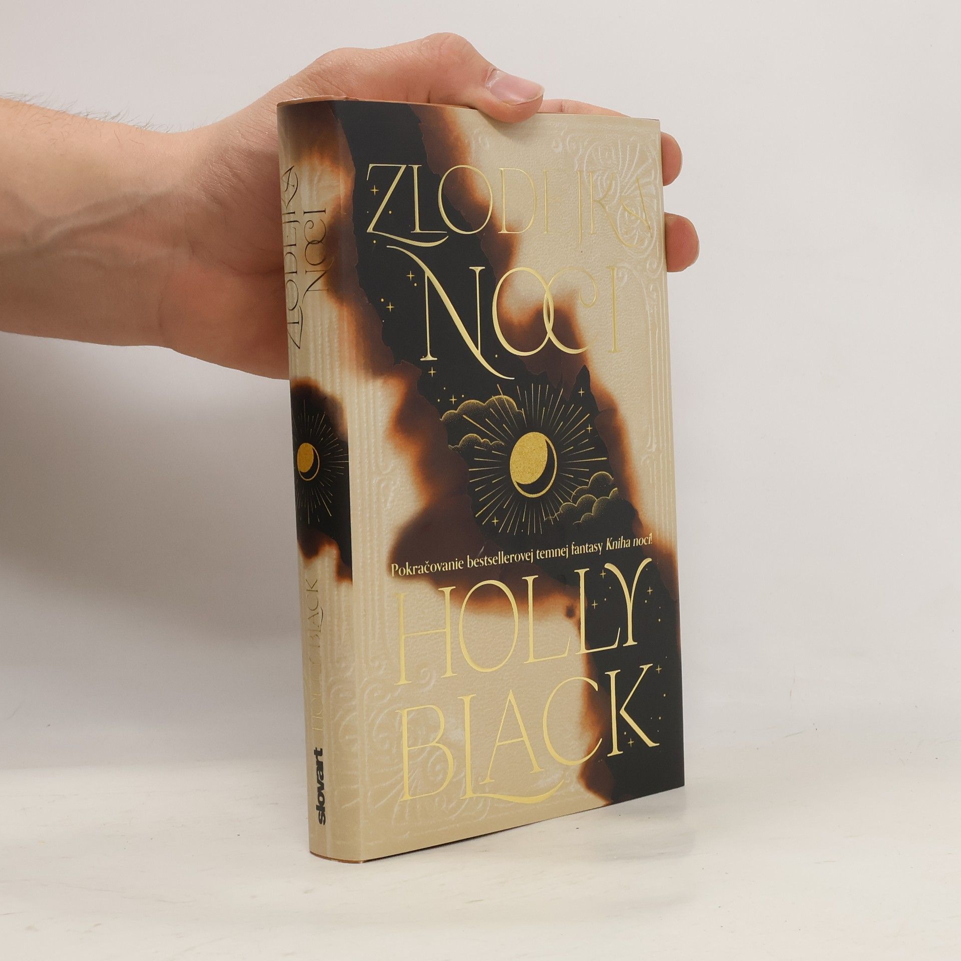 Holly Black Zlodejka noci