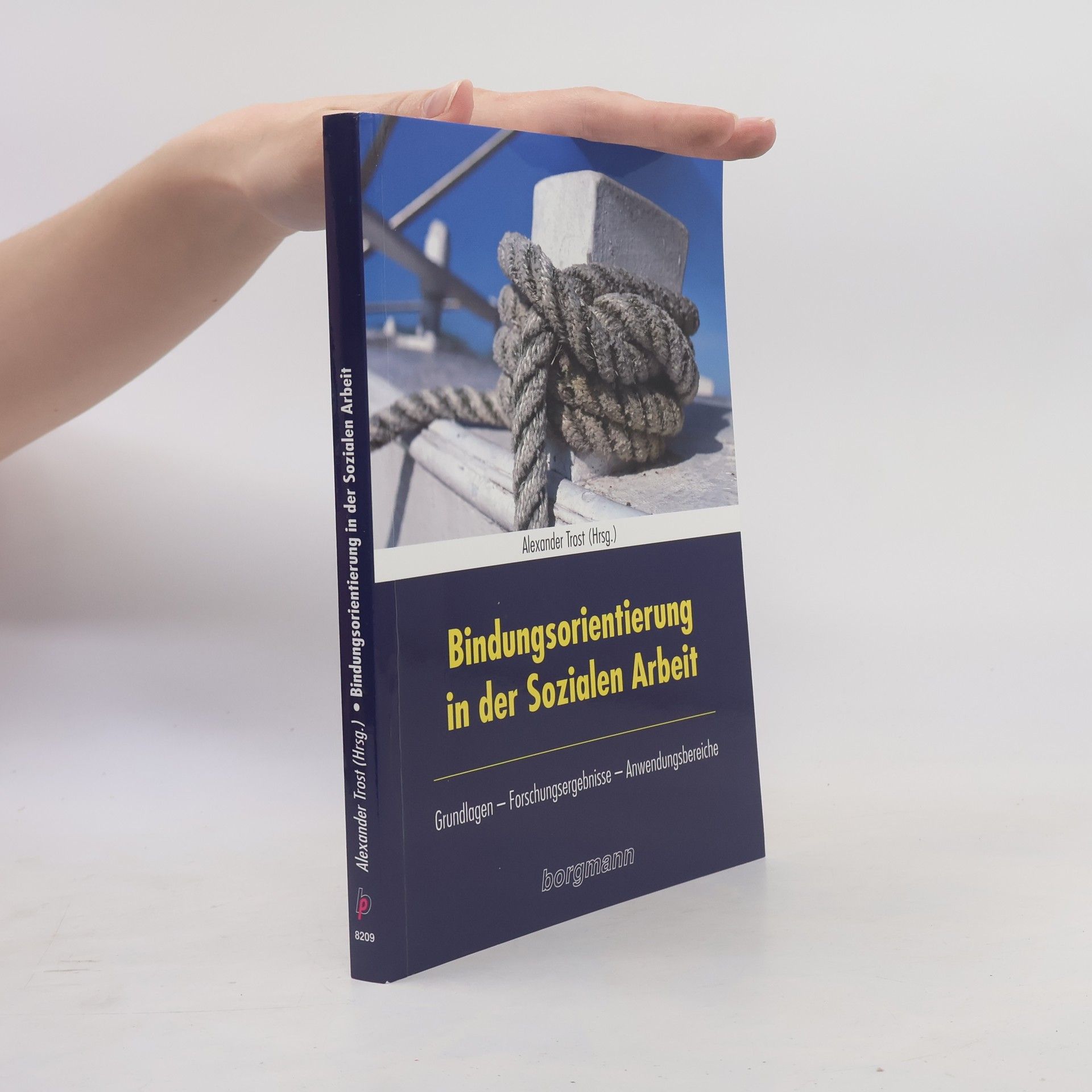 Alexander Trost Bindungsorientierung in der Sozialen Arbeit