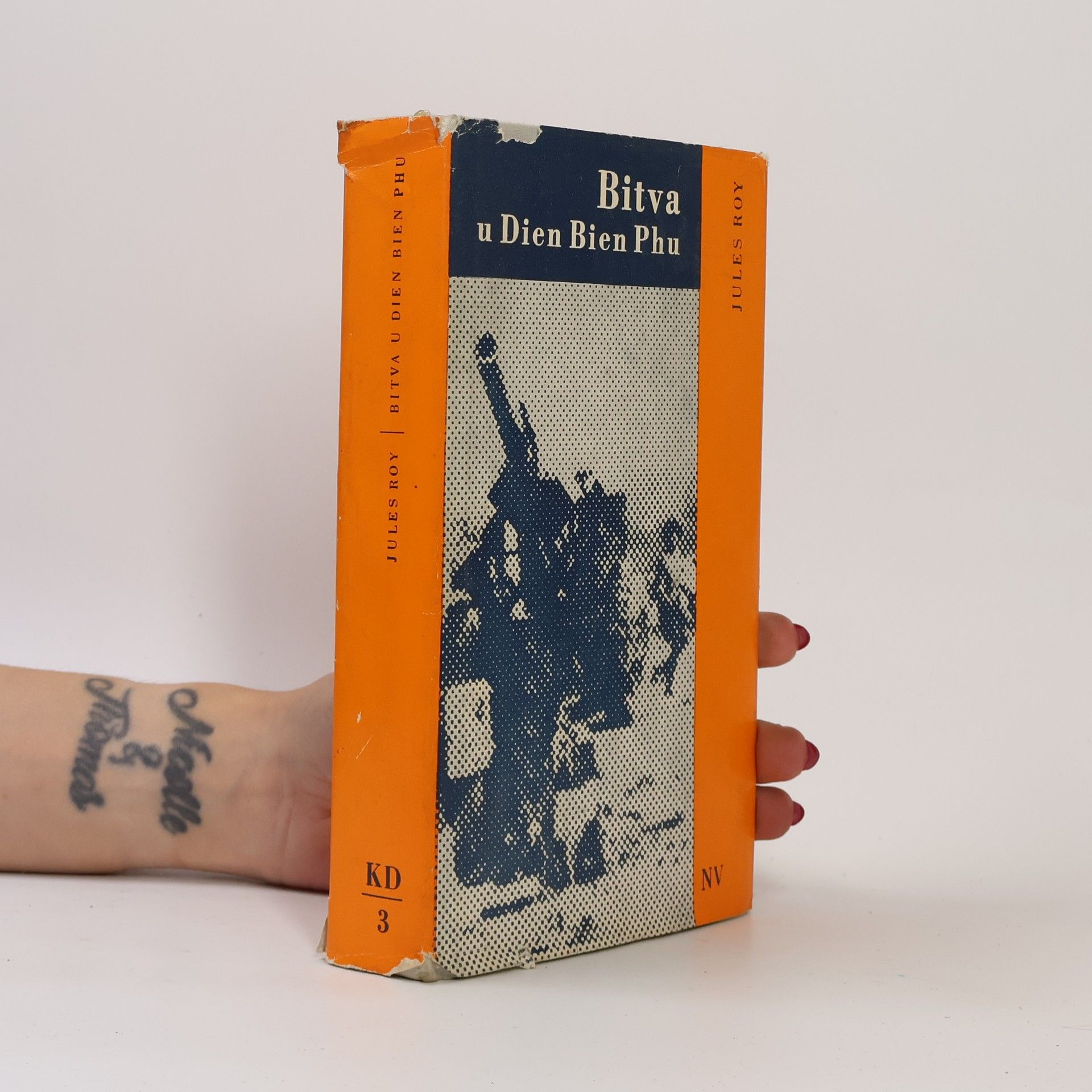 Jules Roy Bitva u Dien Bien Phu