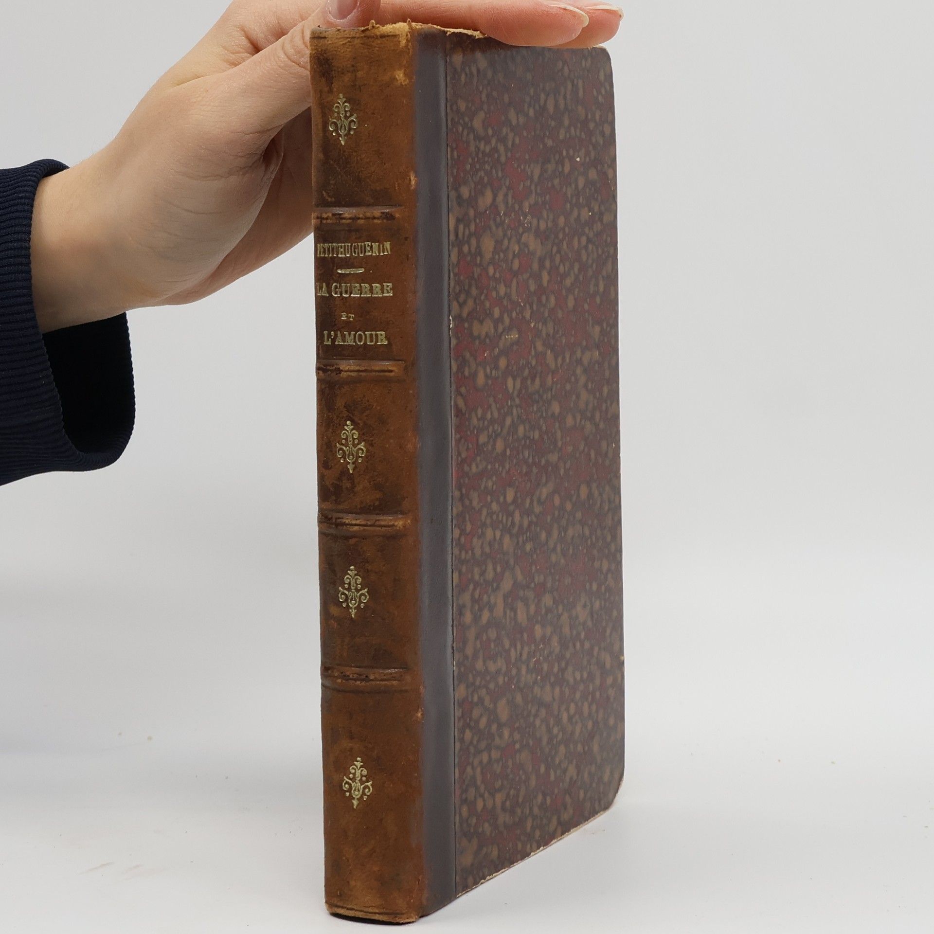 Jean Petithuguenin Napoléon III. La Guerre et l'Amour