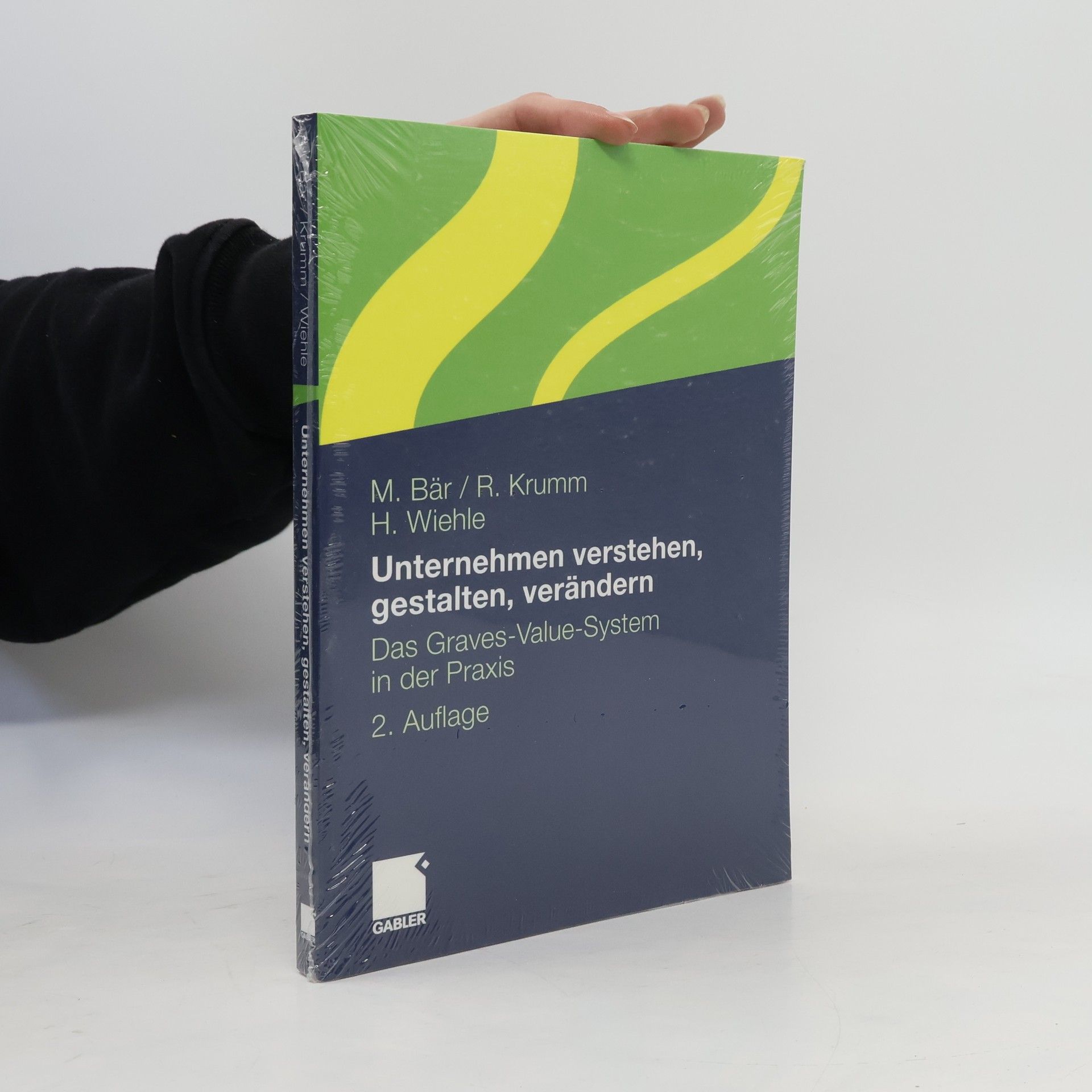 Unternehmen verstehen, gestalten, verändern