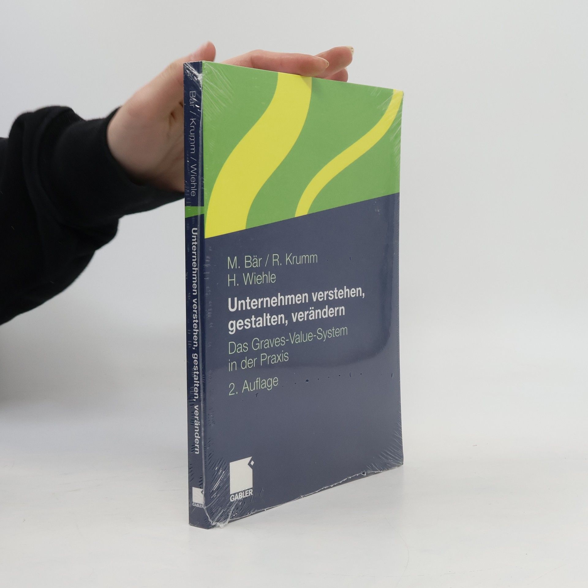 Unternehmen verstehen, gestalten, verändern