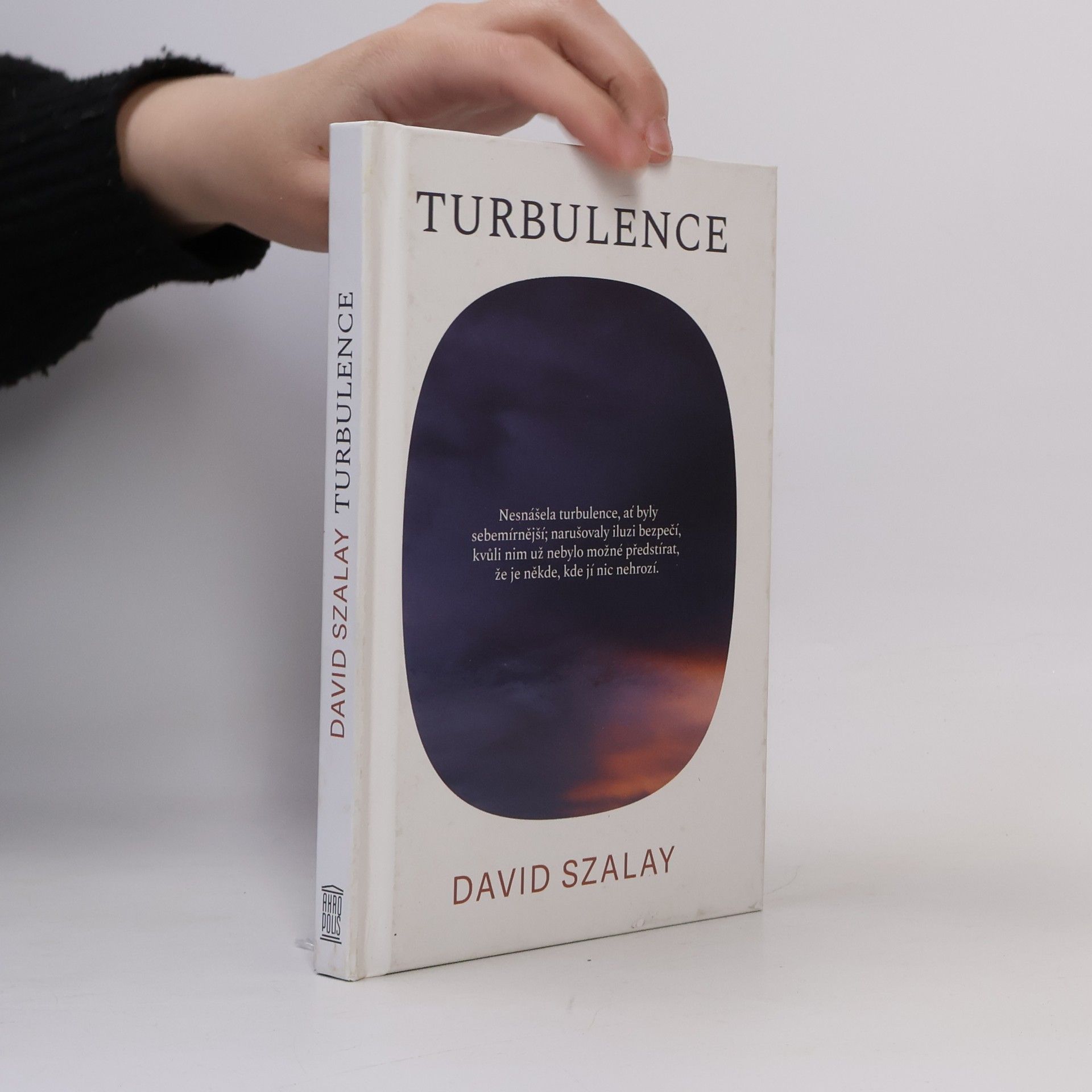 David Szalay Turbulence