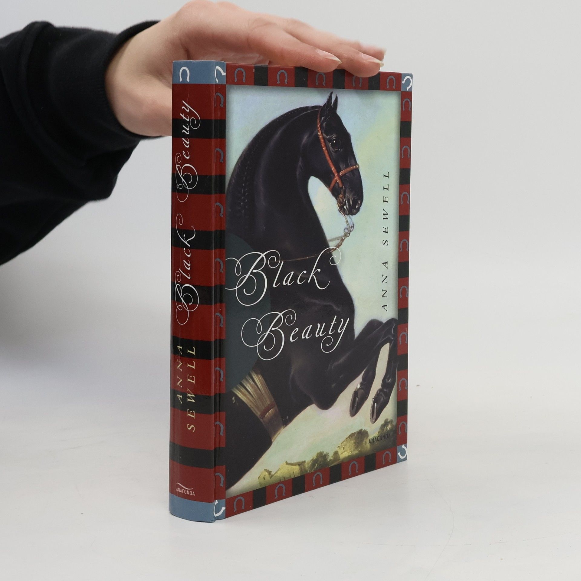 Kolektiv autorů Die schönsten Kinderbuchklassiker