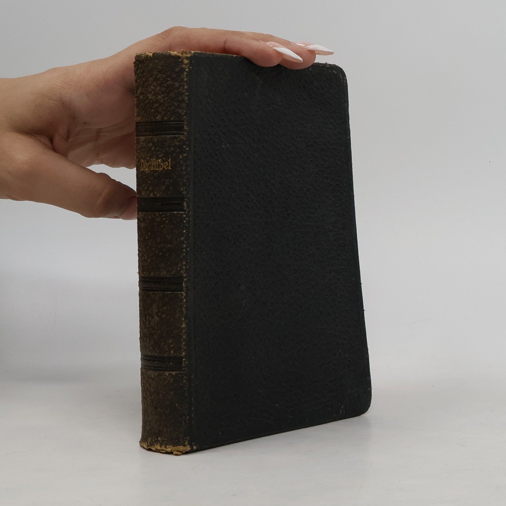 Martin Luther Die Bibel oder die ganze Heilige Schrift des Alten und Neuen Testaments