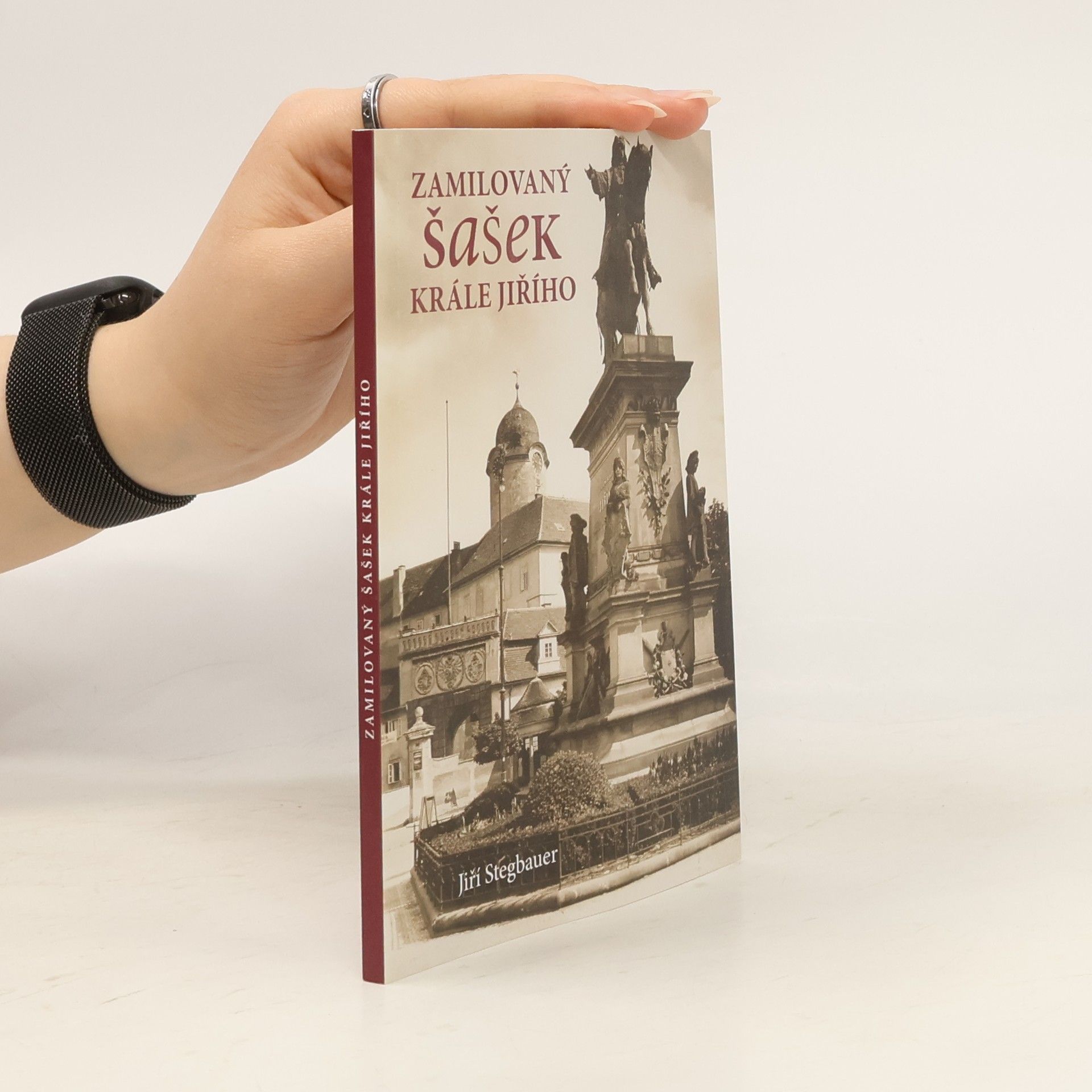 Zamilovaný šašek krále Jiřího