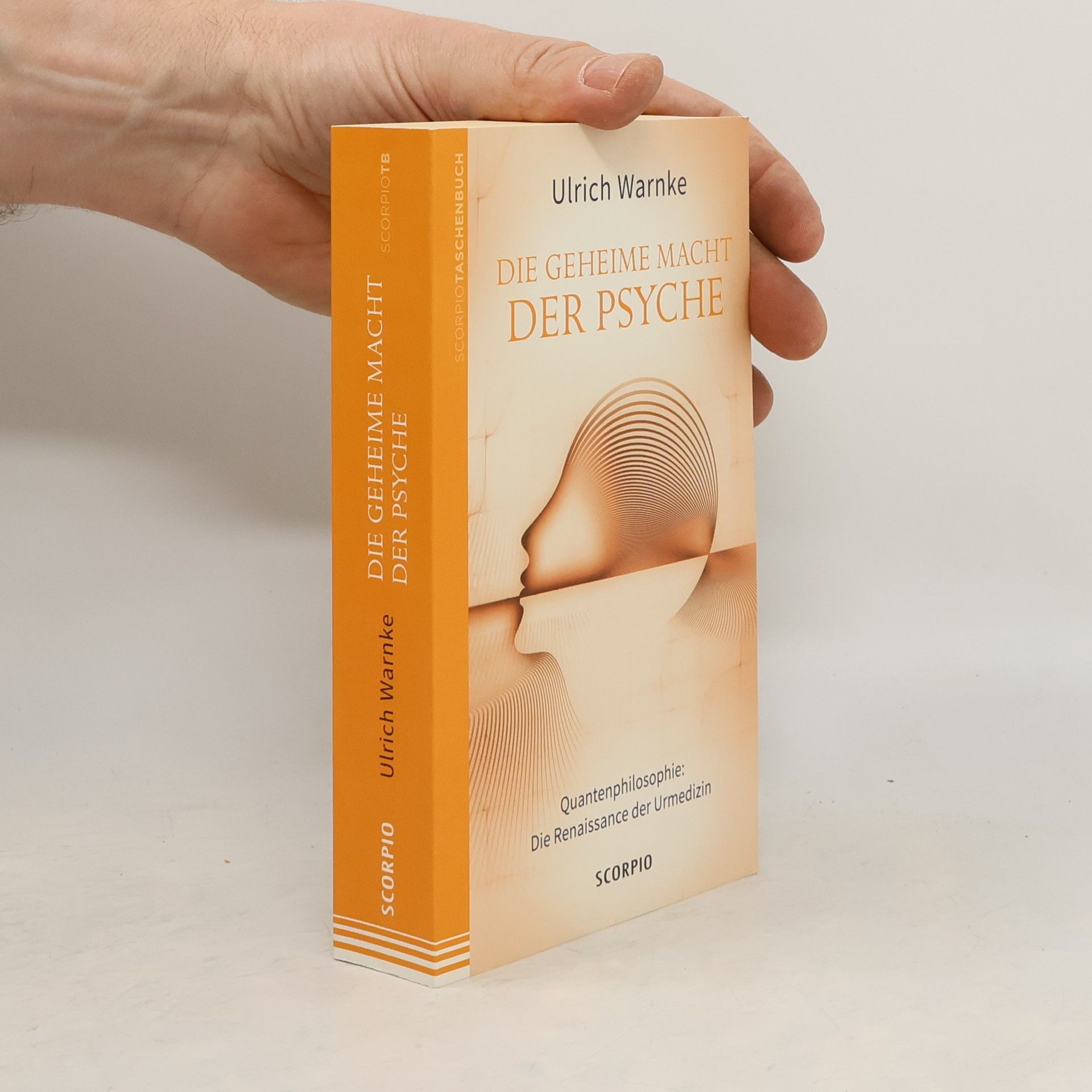 Ulrich Warnke Die geheime Macht der Psyche