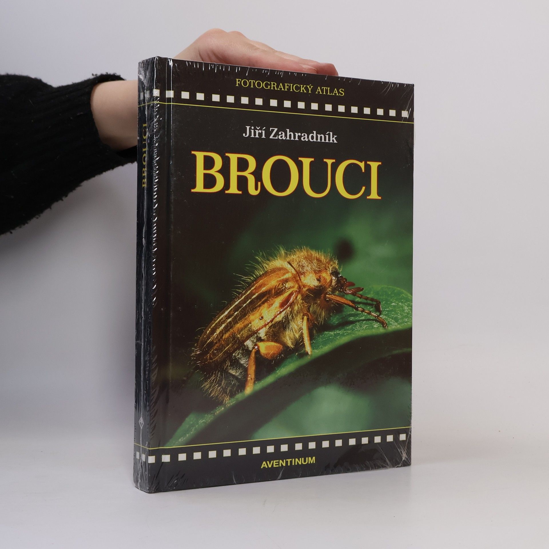 Jiří Zahradník Brouci