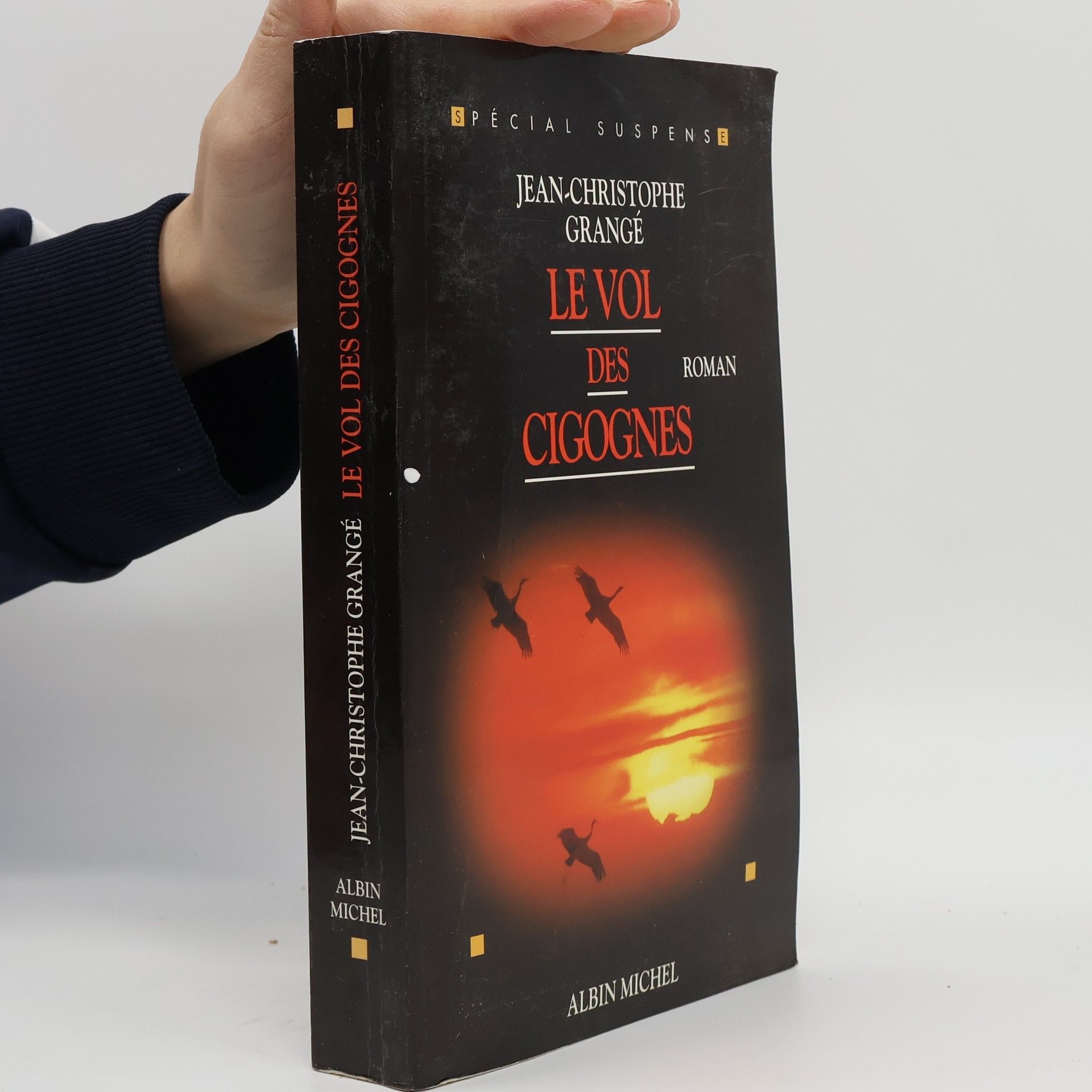 Jean Christophe Grangé Le Vol des cigognes