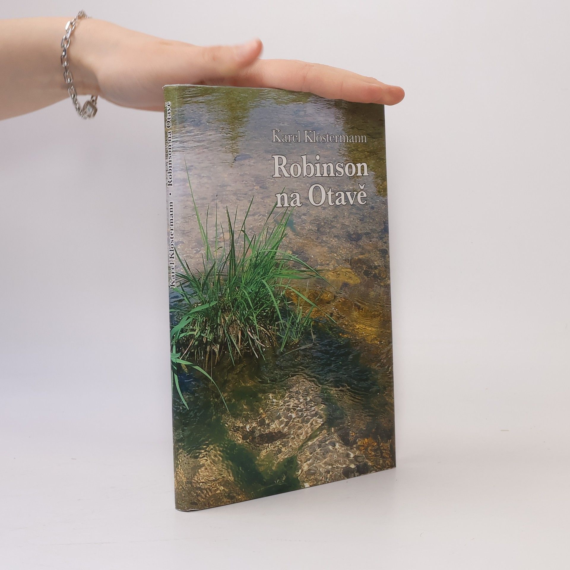 Robinson na Otavě