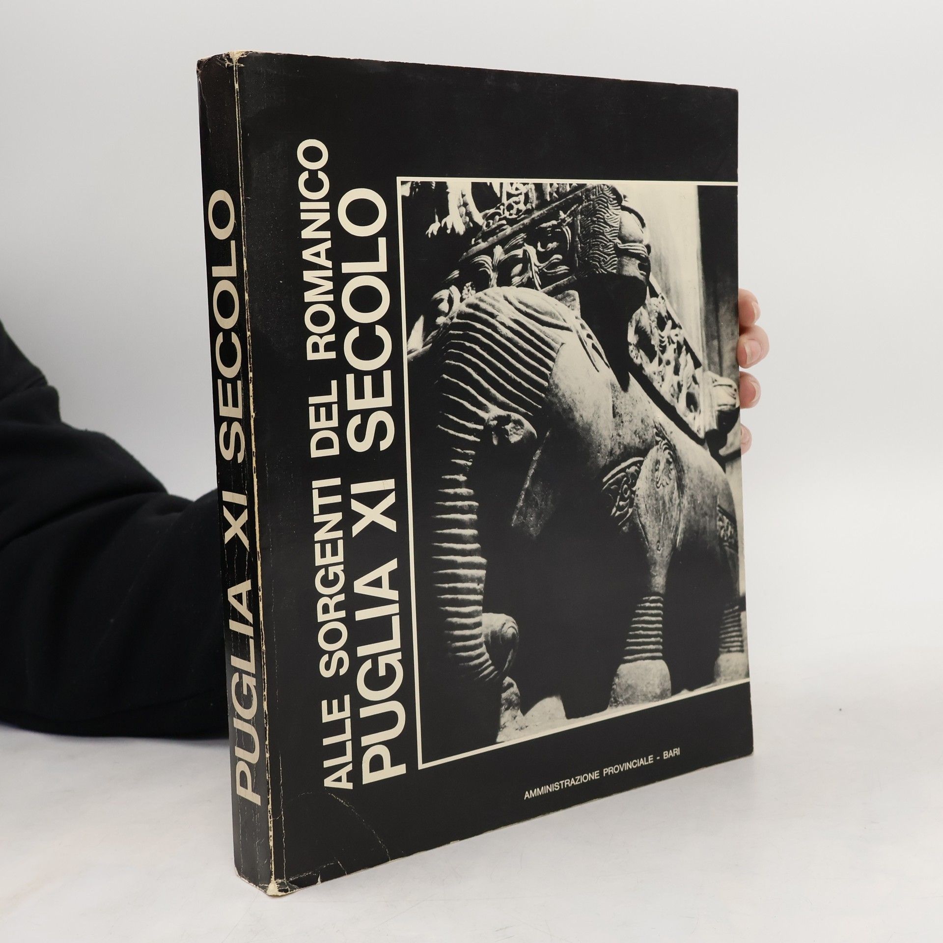 Autorenkollektiv Alle sorgenti del Romanico Puglia XI secolo