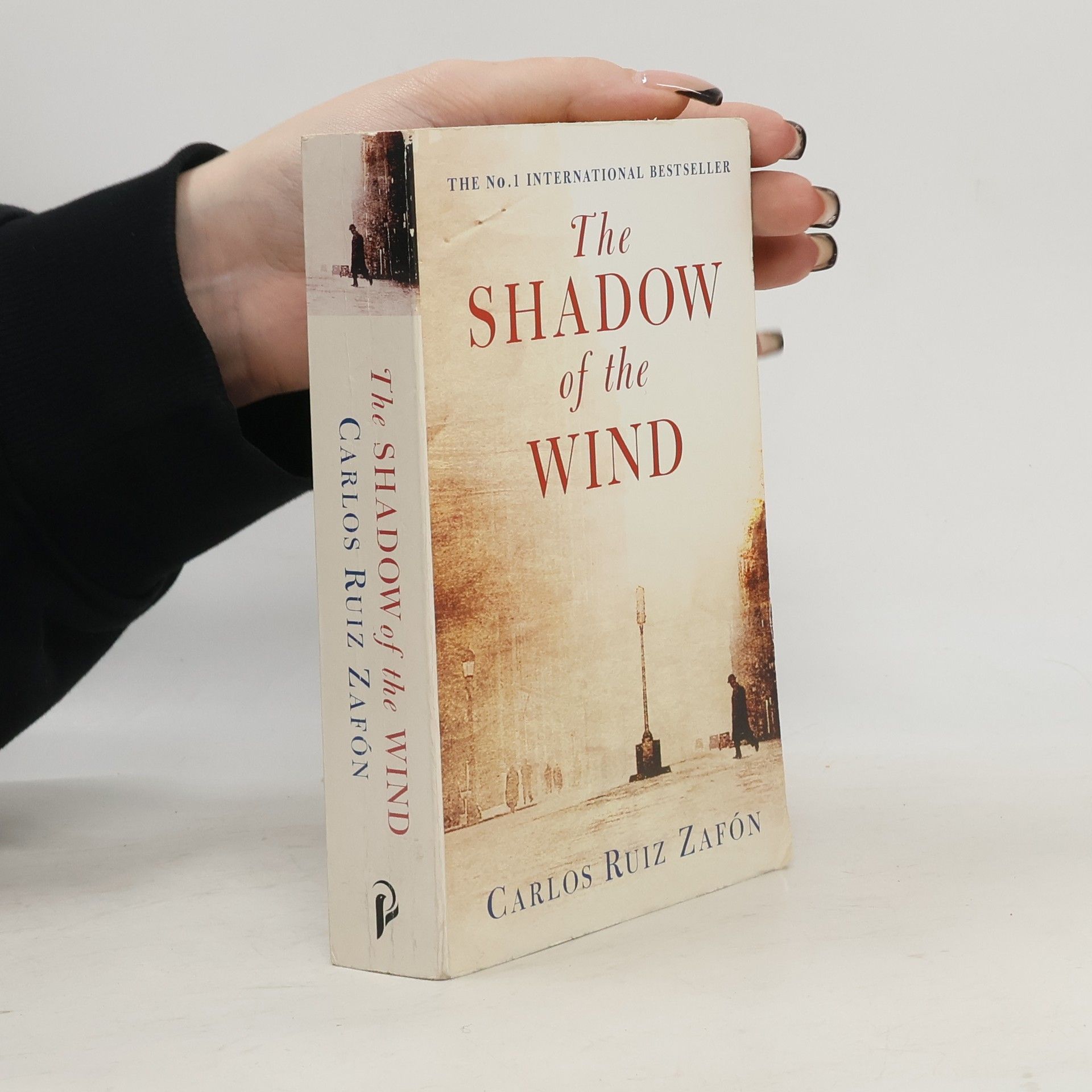 The Shadow of the Wind