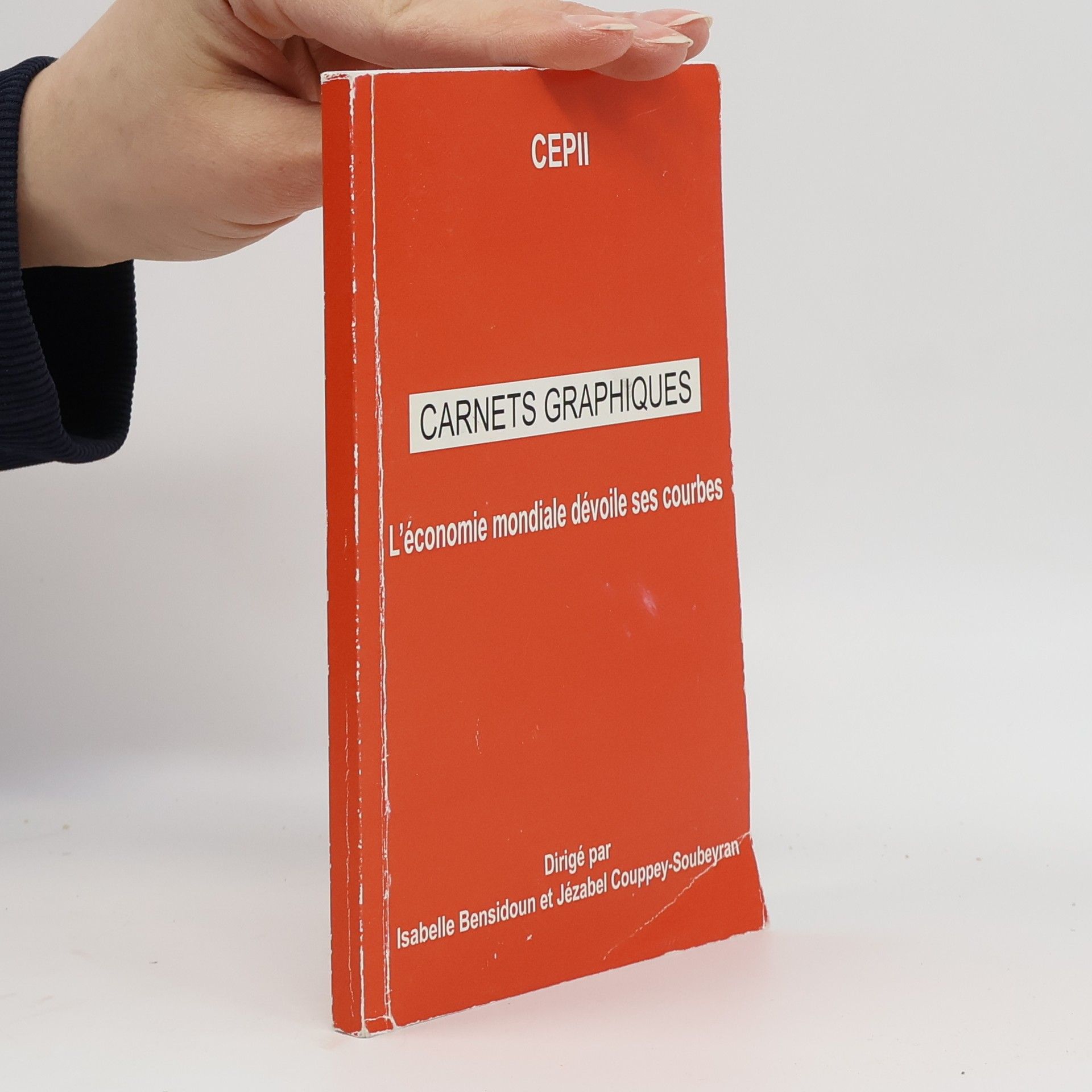 AA.VV. Carnets graphiques. L'économie mondiale dévoile ses courbes