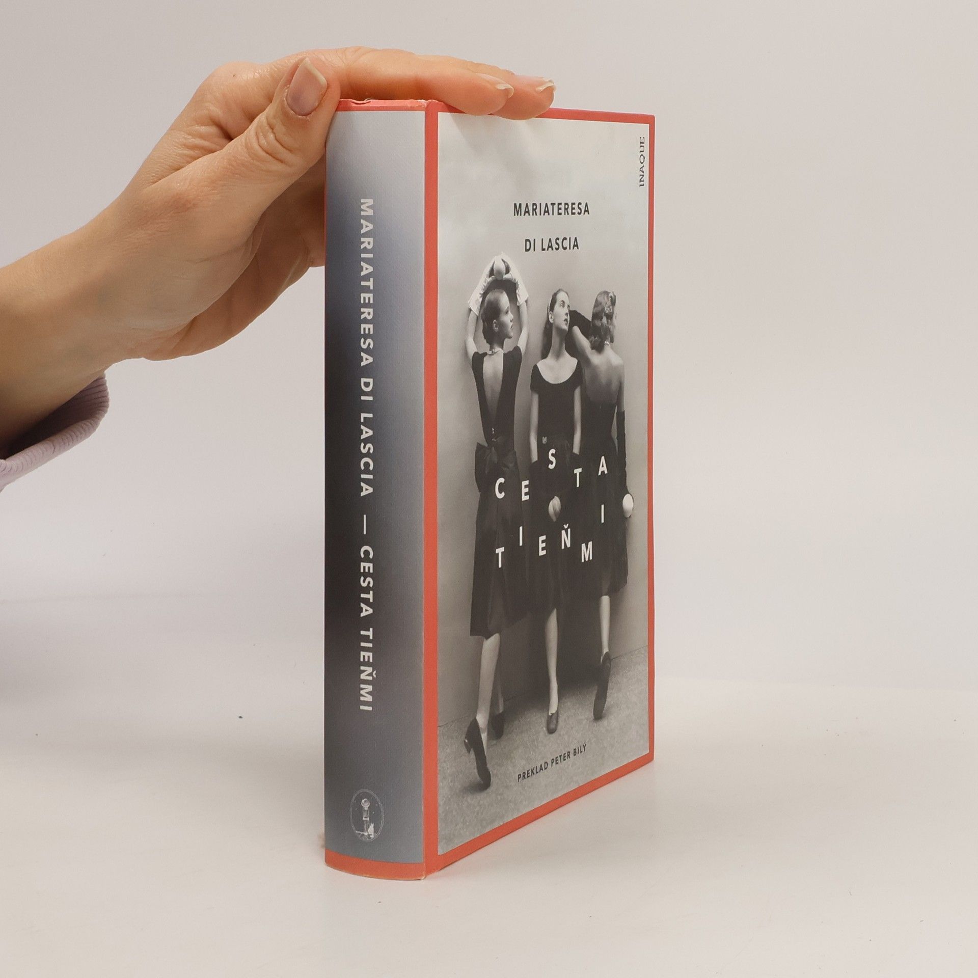 Mariateresa Di Lascia Cesta tieňmi