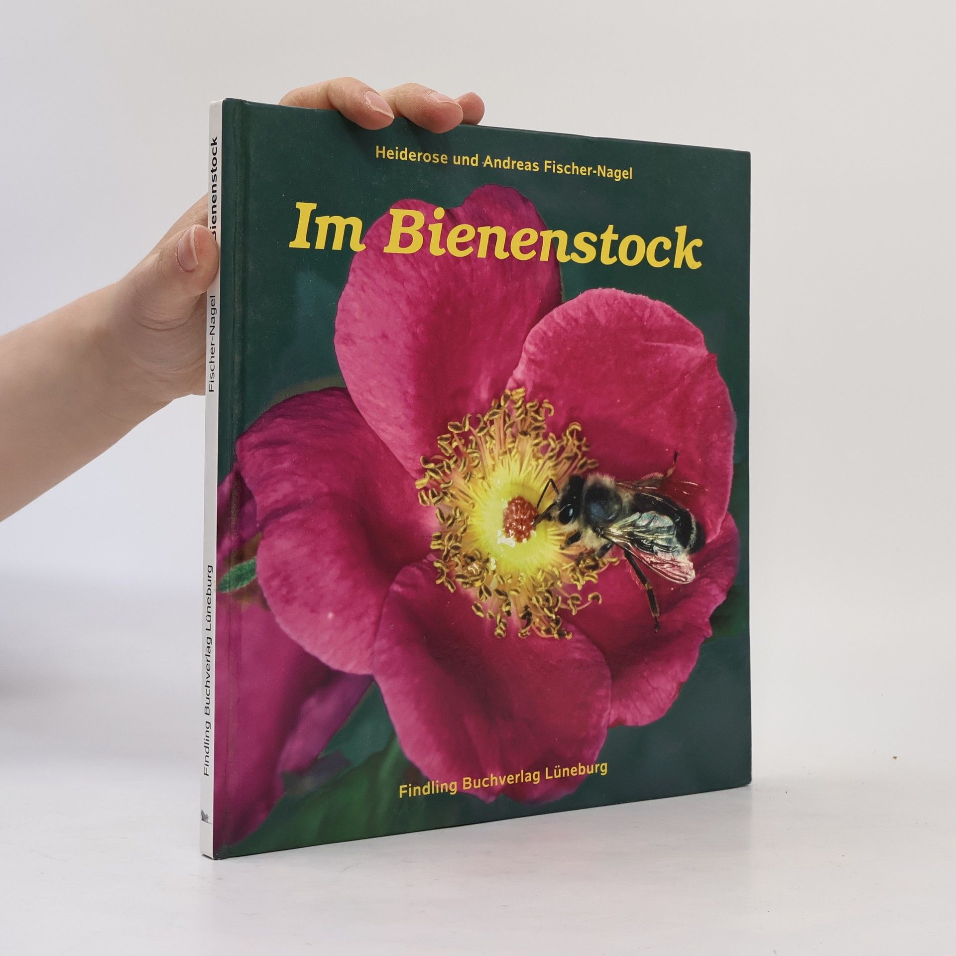 Im Bienenstock