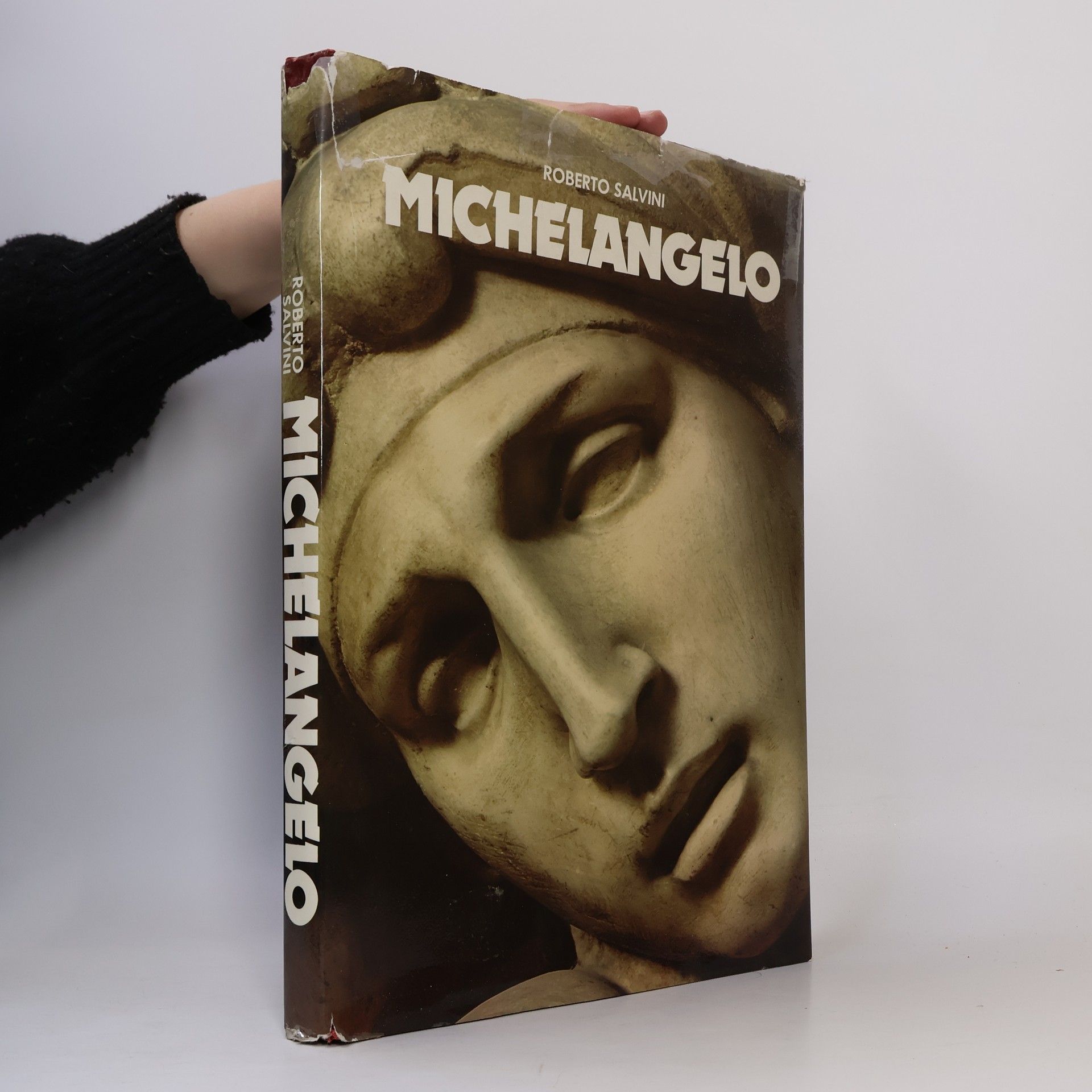 Roberto Salvini Michelangelo