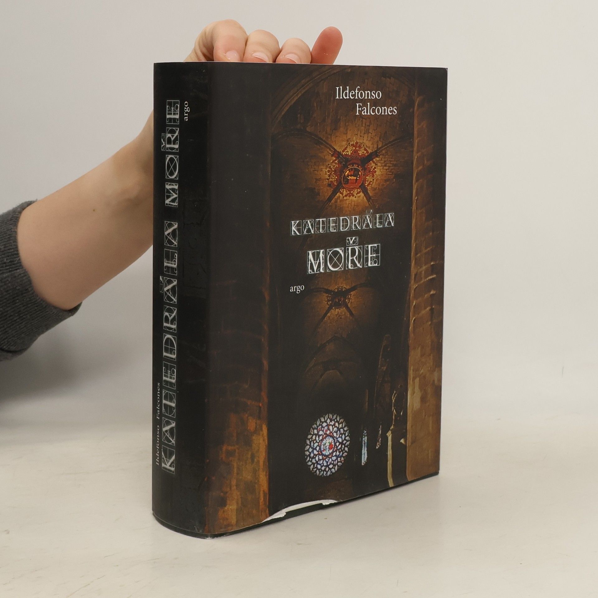 Ildefonso Falcones Katedrála moře