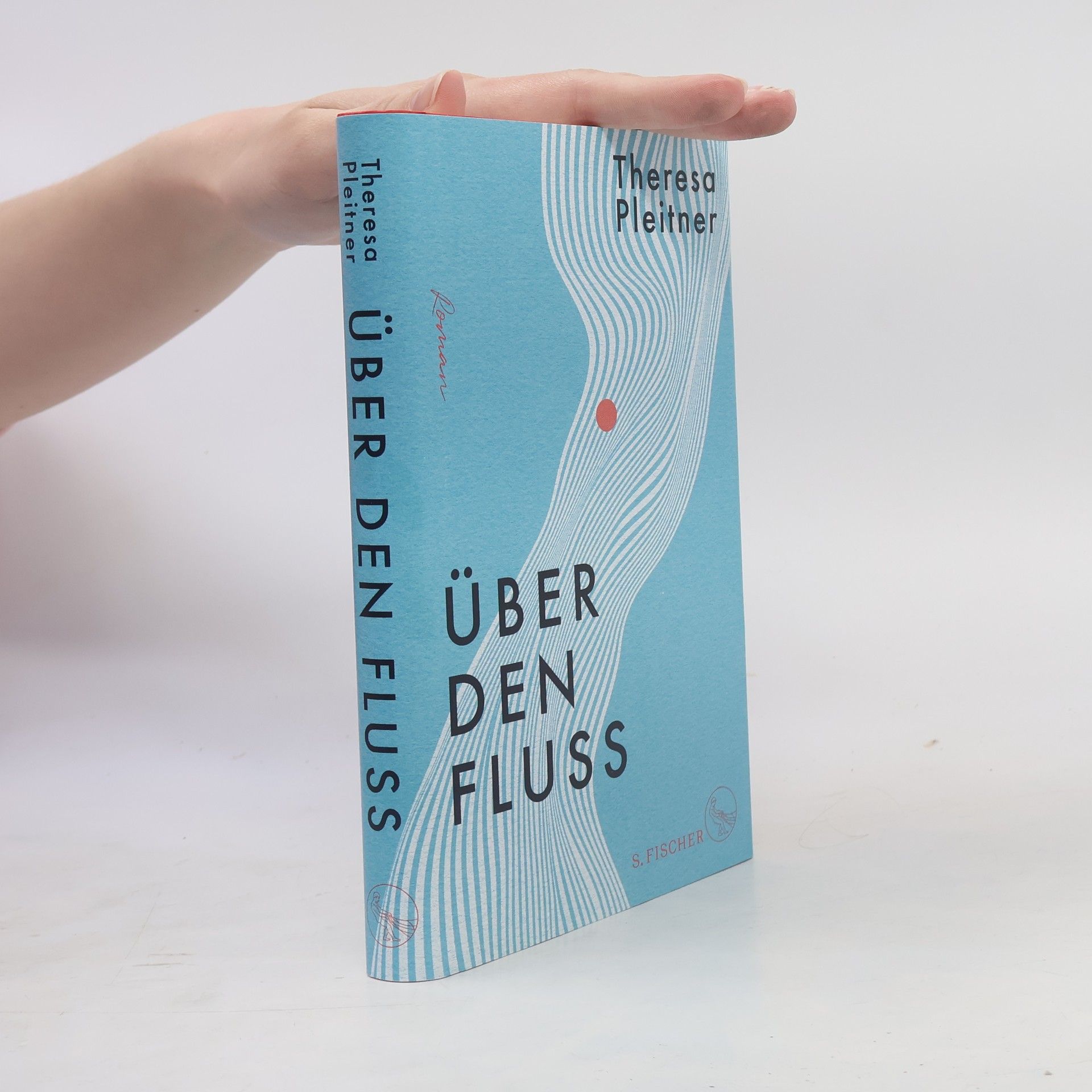 Theresa Pleitner Über den Fluss