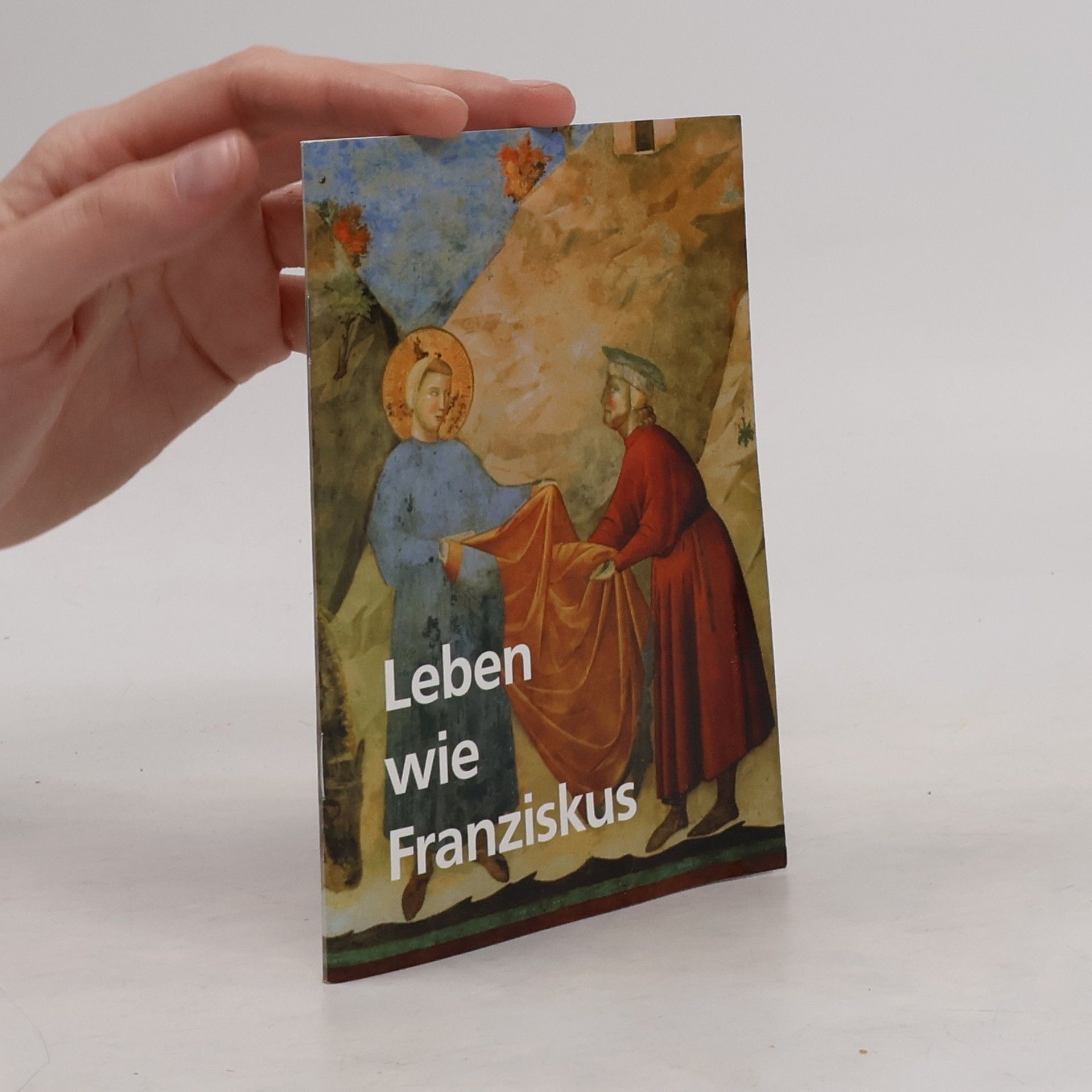 Autores varios Leben wie Franziskus