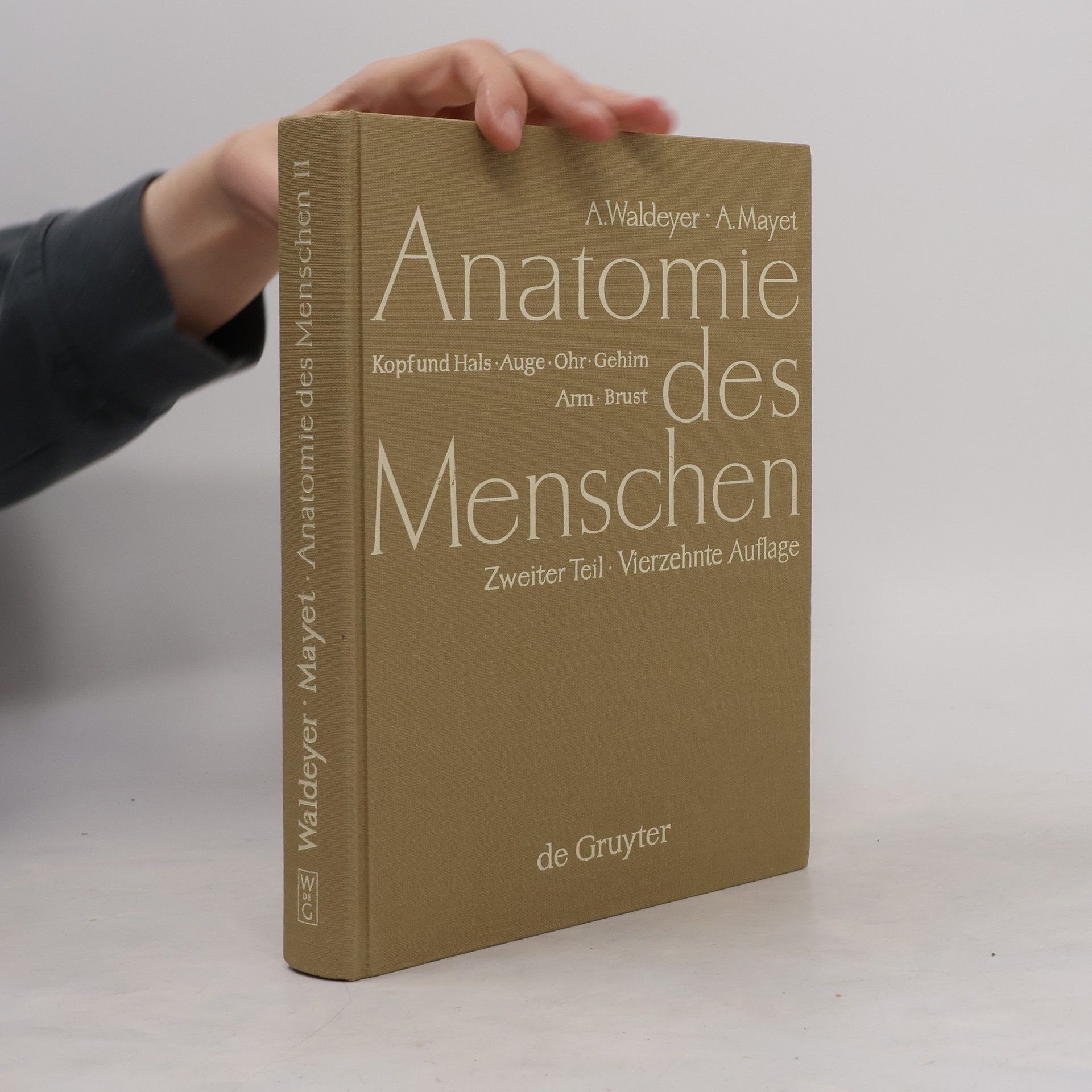 Anatomie des Menschen für Studierende und Ärzte II