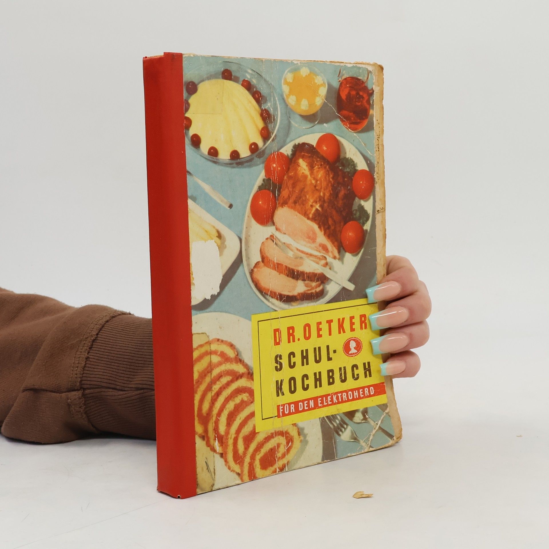 Autorenkollektiv Dr. Oetker Schul-Kochbuch für den Elektroherd