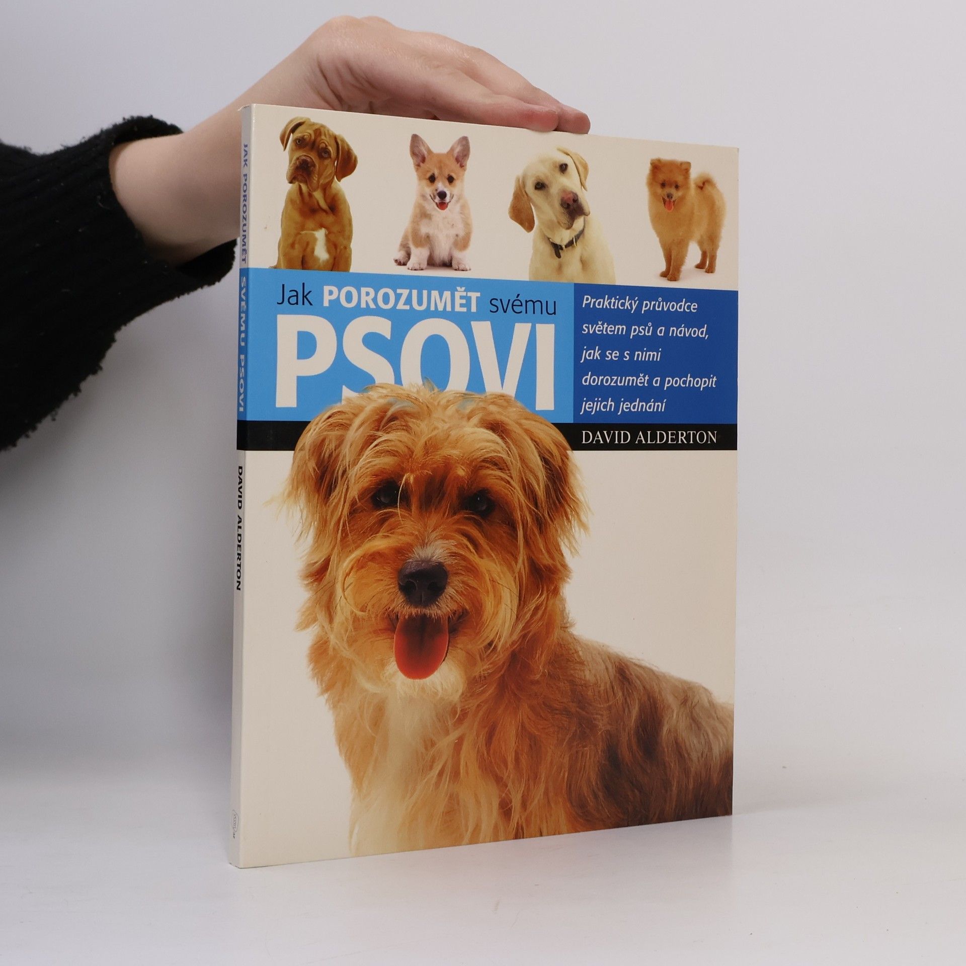 Jak porozumět svému psovi